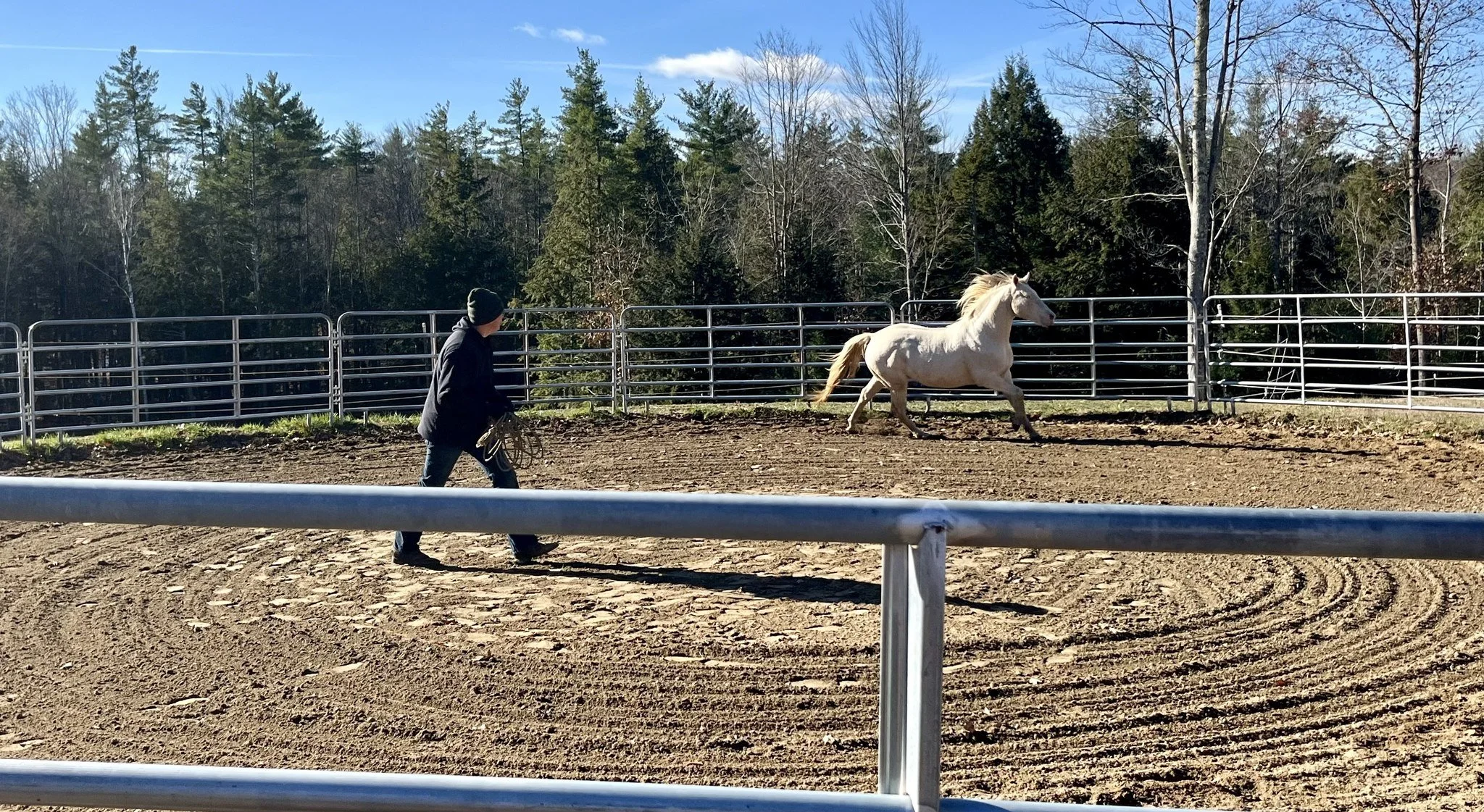 Round Penning and Obstacles Clinic with Peter Whittmore