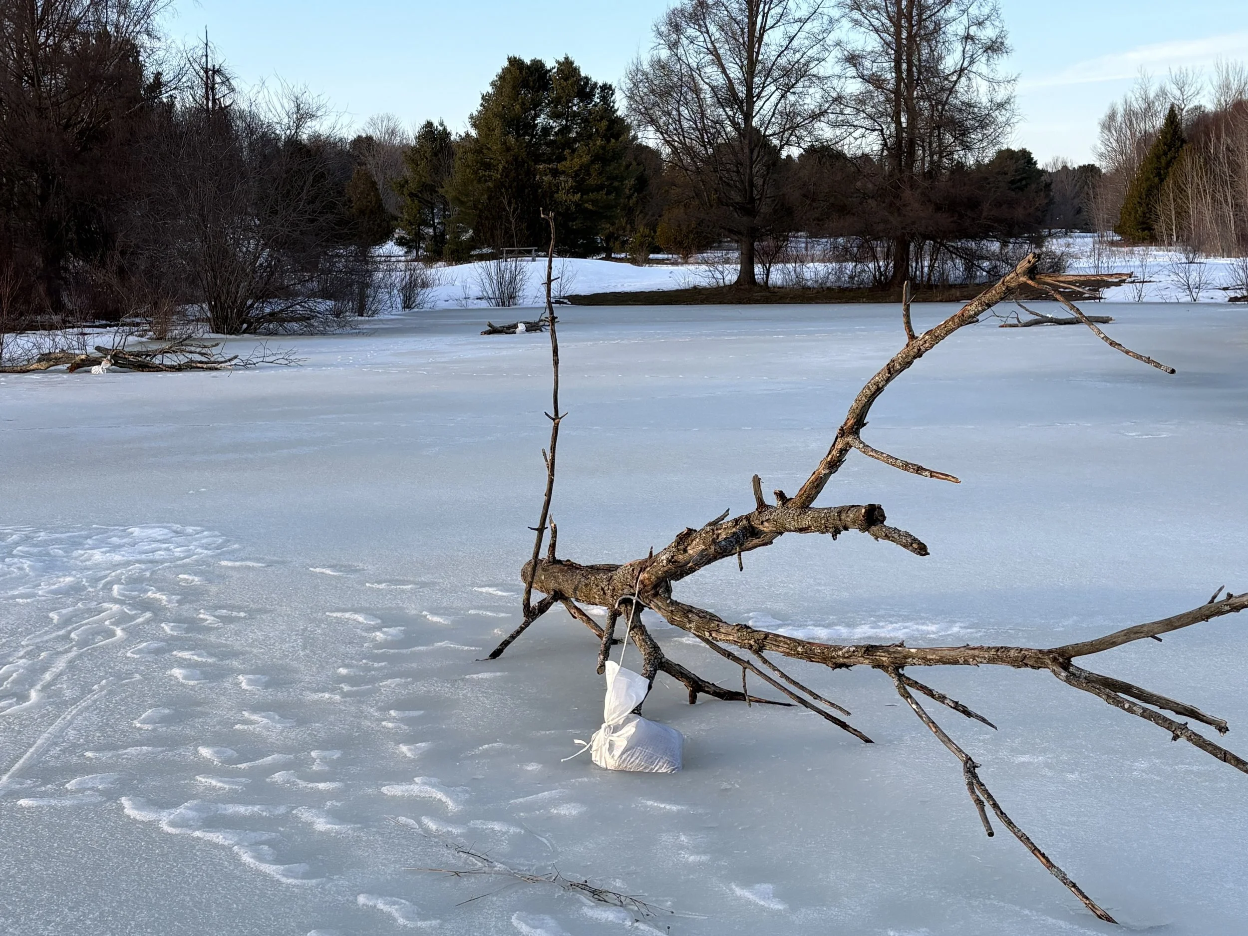 February commissioner update photo.jpg