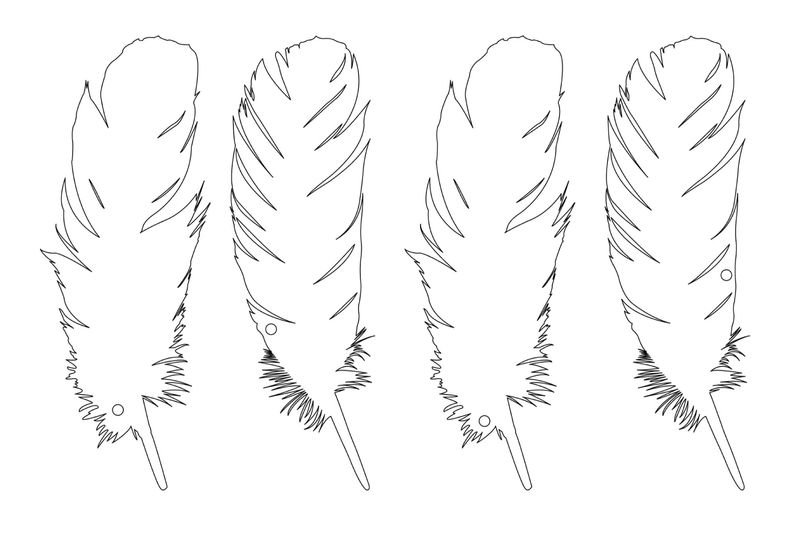 667d66fe752fafc103229c0d_finch-feathers-p-800.jpeg