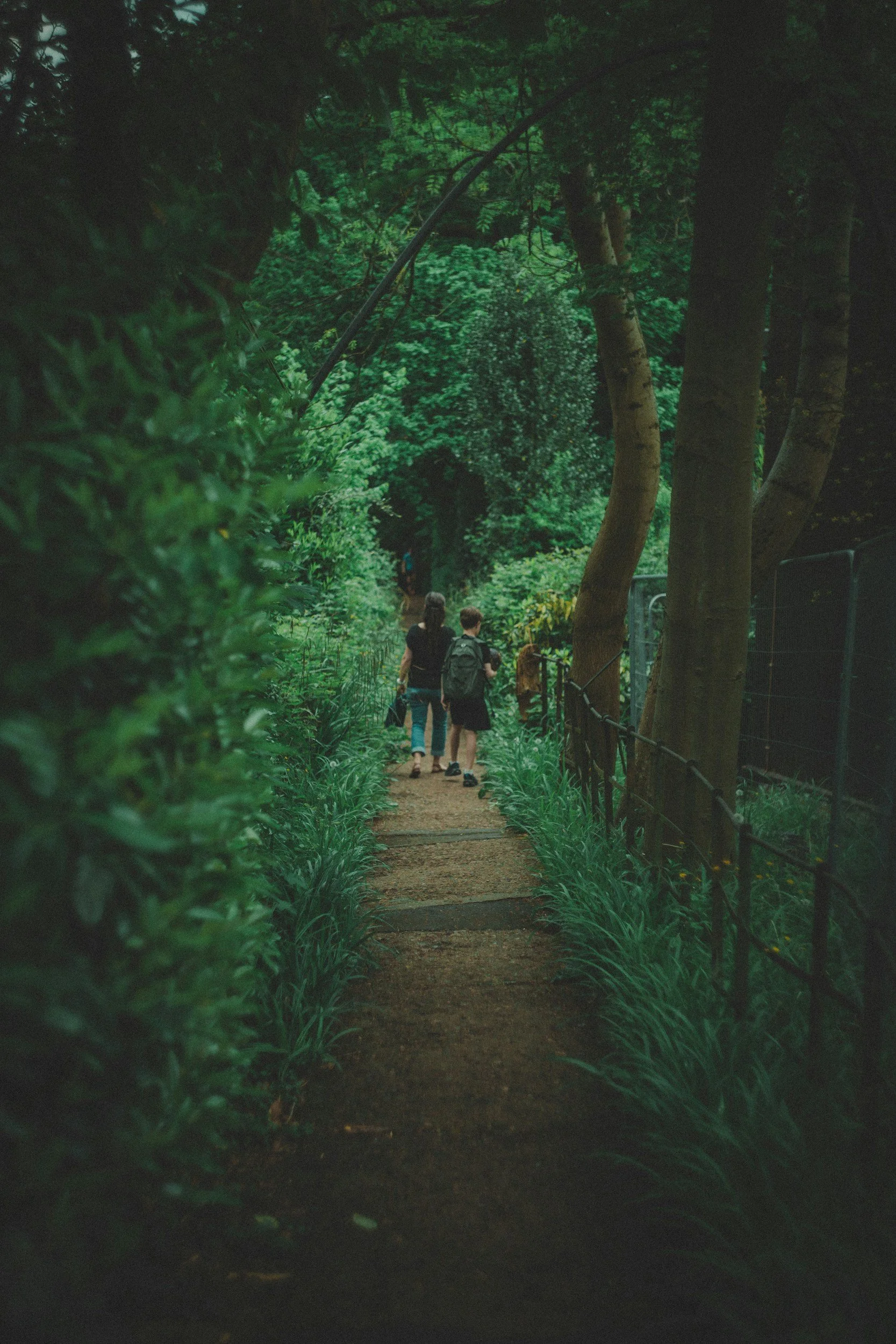 Two people walking down a path surrounded by trees after attending therapy in Santa Barbara.