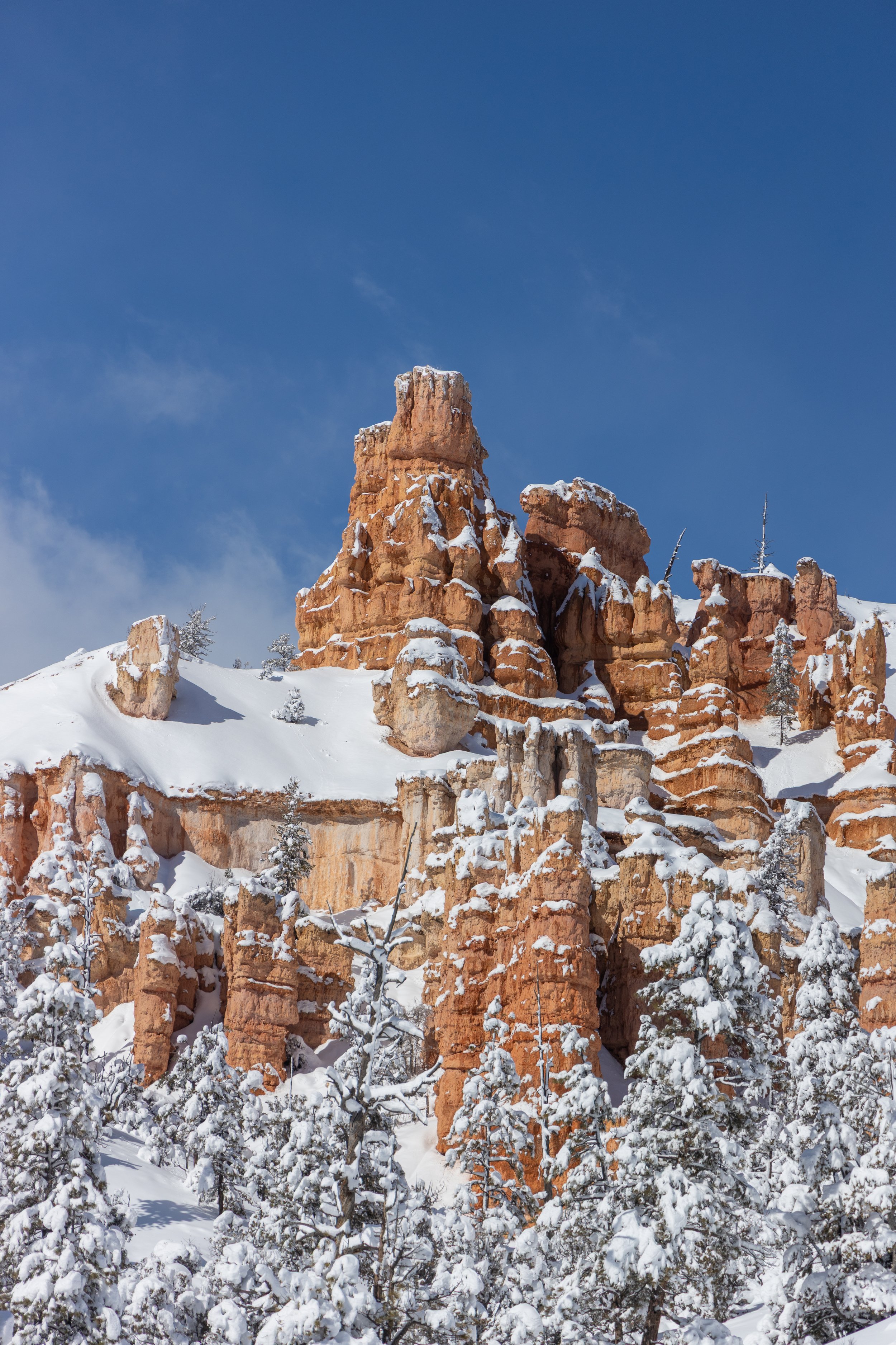 Winter Hoodoos of Bryce Canyon National Park