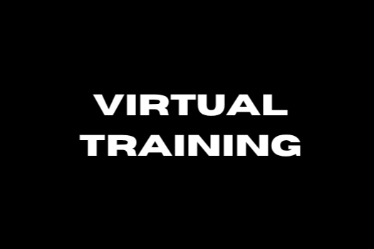 Unlimited Virtual Training