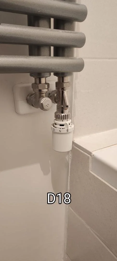 PHOTO-2025-03-17-08-49-58 2.jpg