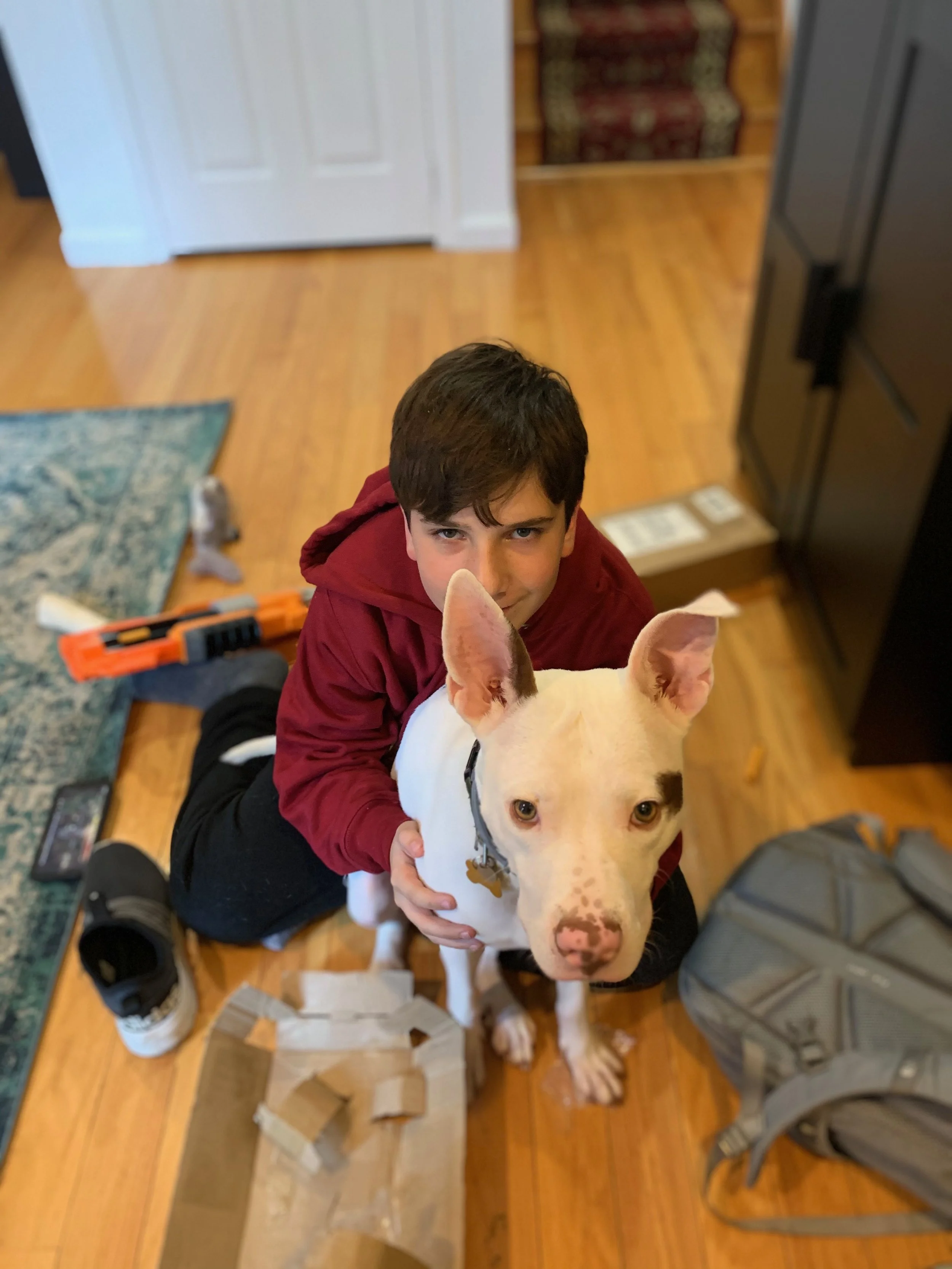 A boy kneeling on a wooden floor, hugging a white dog with black spots and erect ears, looking at the camera.