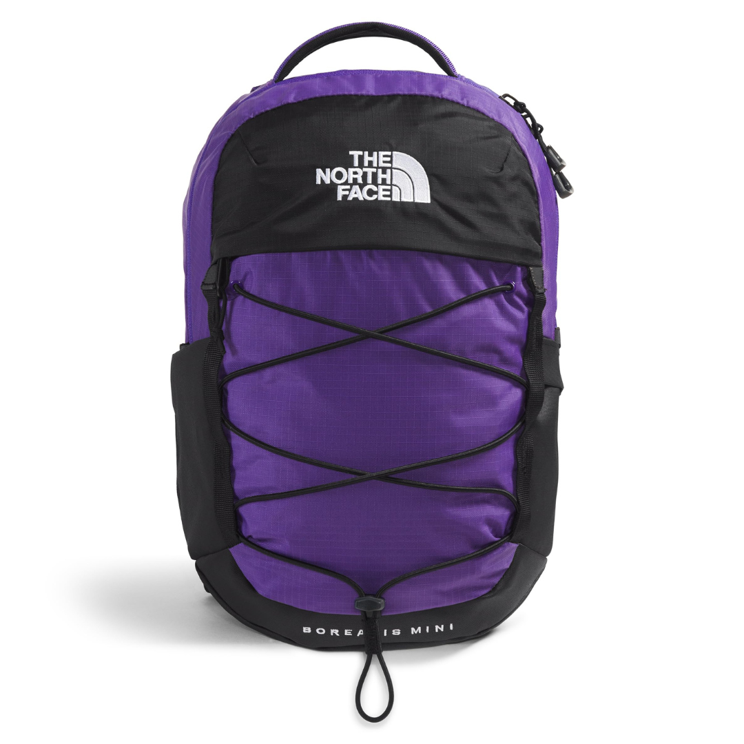 The NORTH FACE Borealis Bookbag (Purple)