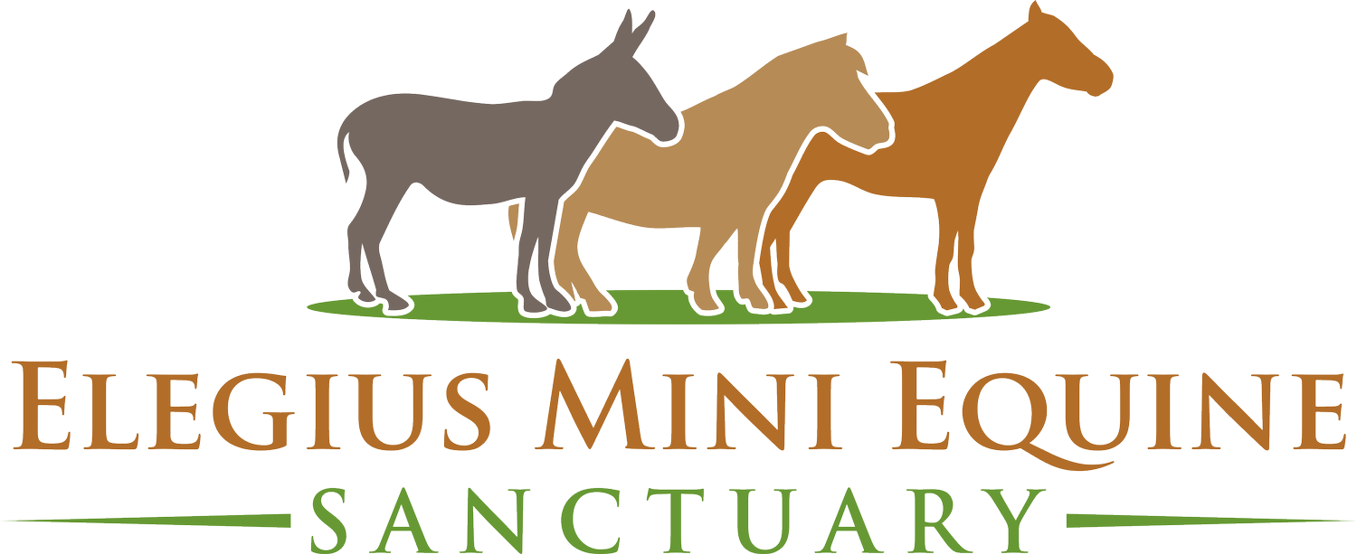 Elegius Mini Equine Sanctuary