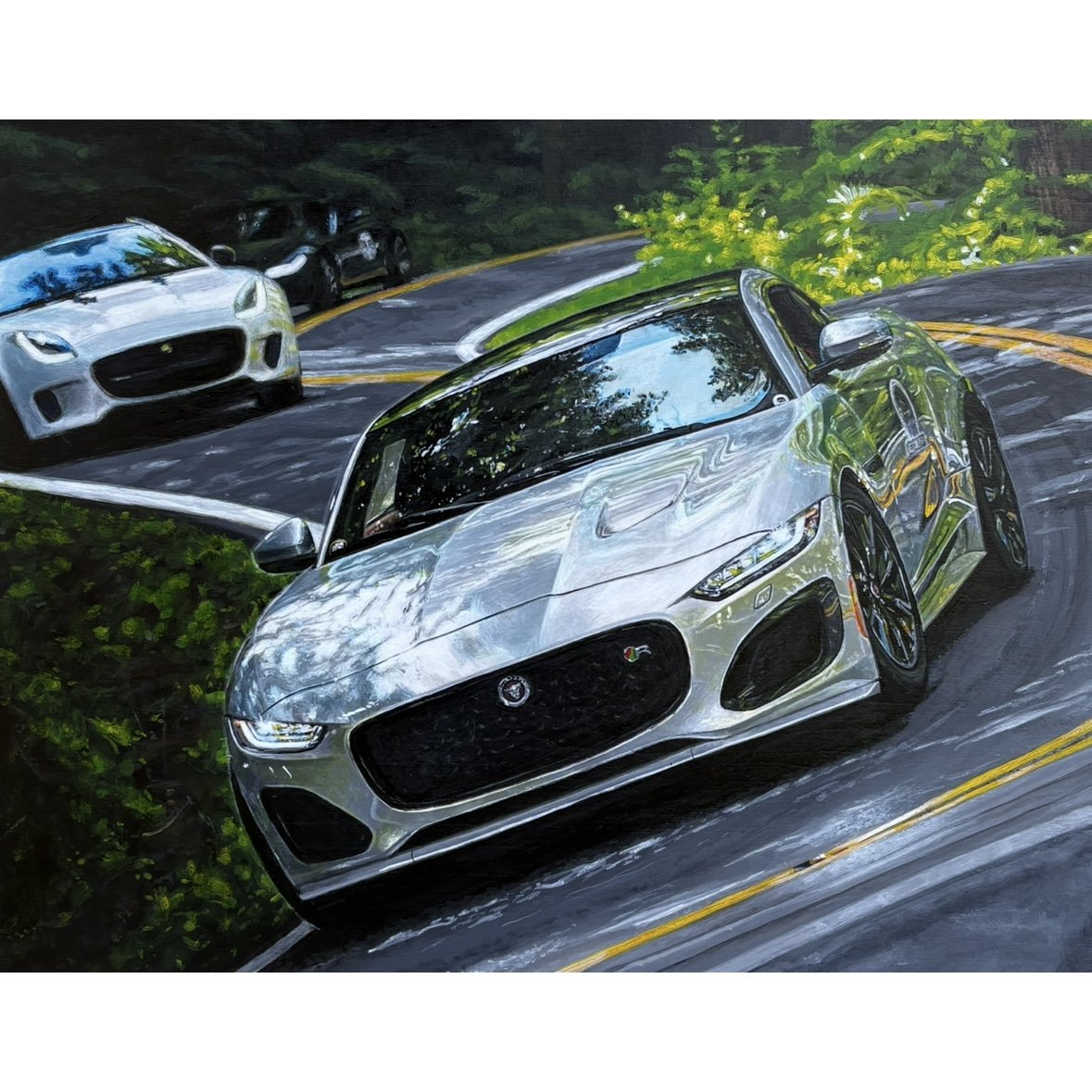 Jaguars at Tail of the Dragon