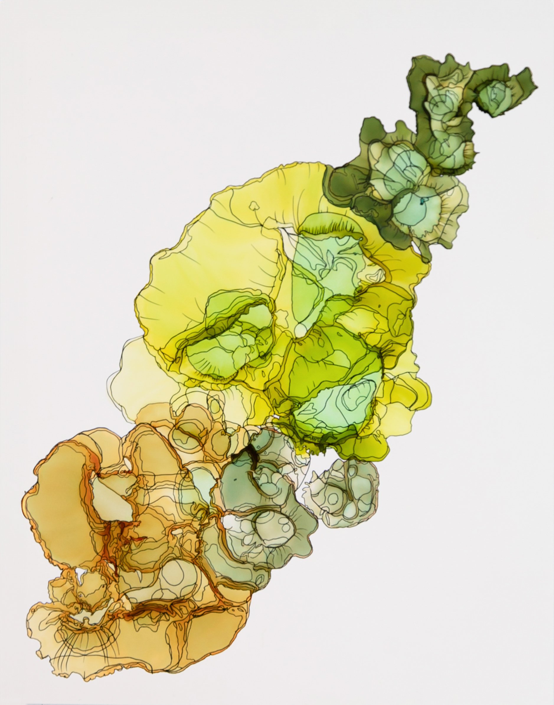 Chartreuse Current.jpg