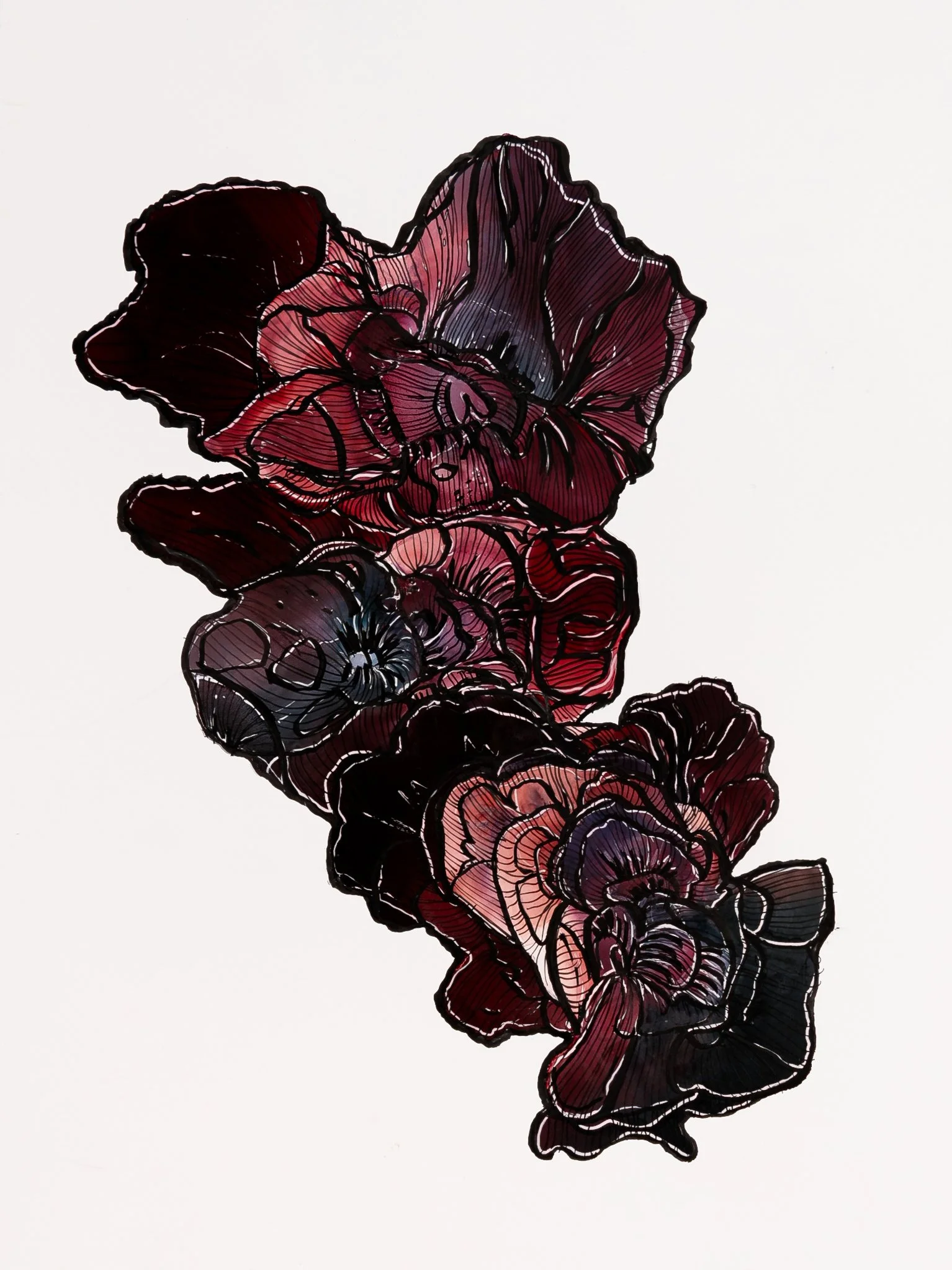 Velvet Blooms.jpg