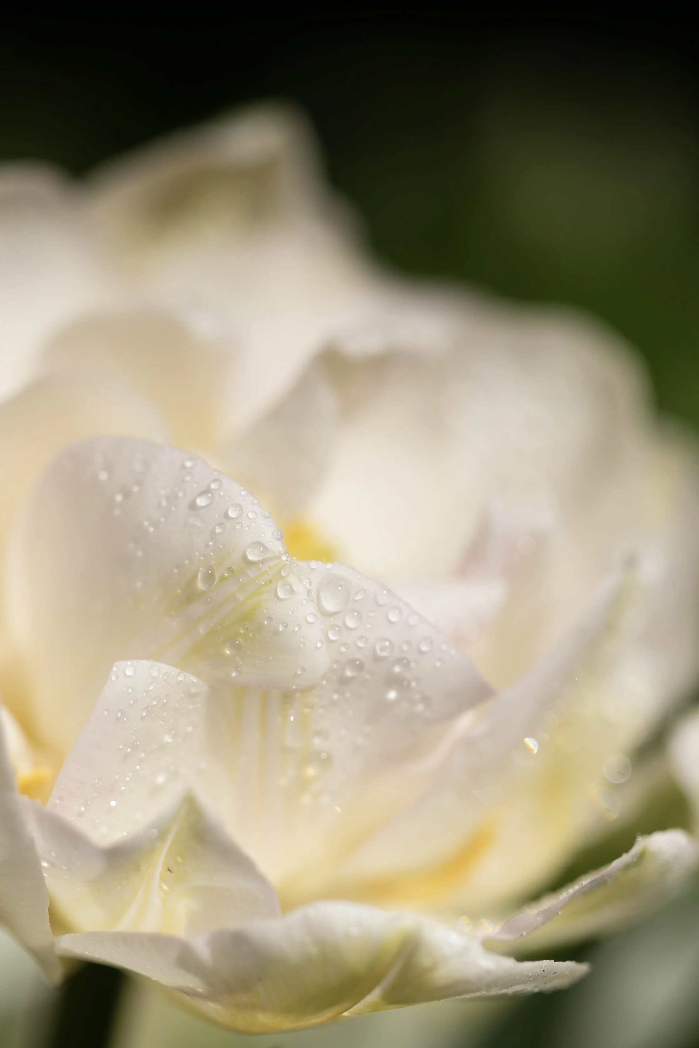 After the Rain