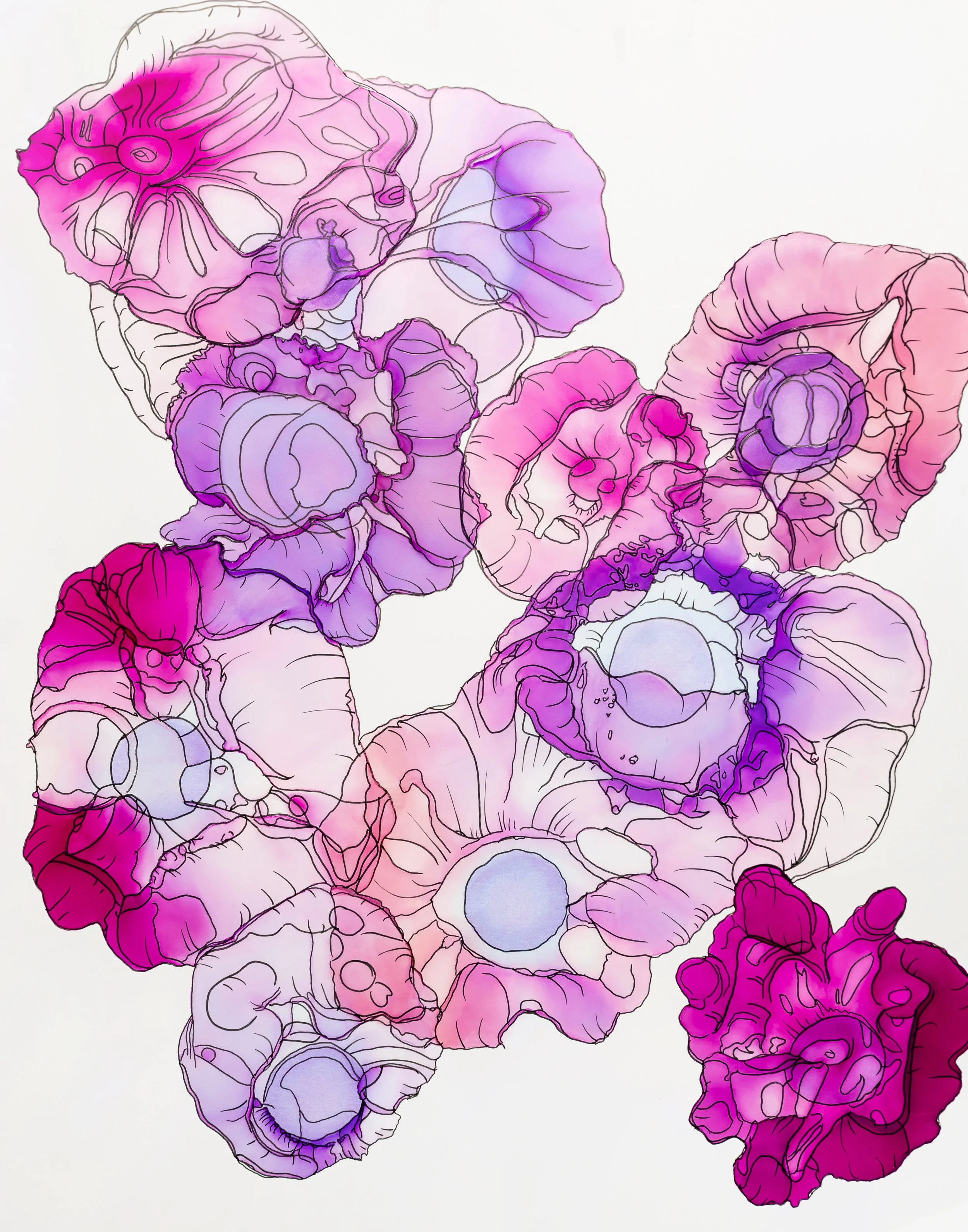 Violet Bloomstorm.jpg