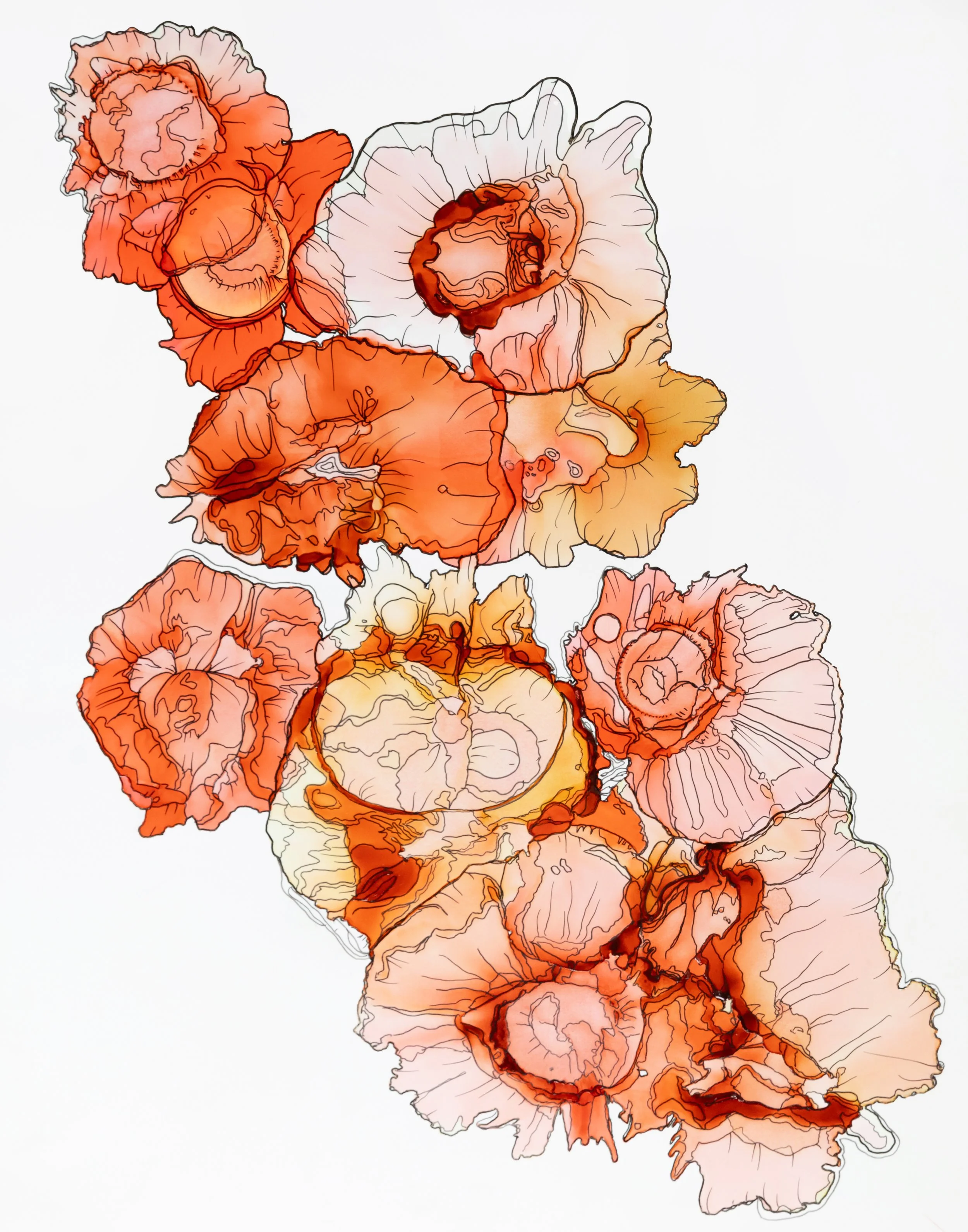 Ember Petals.jpg