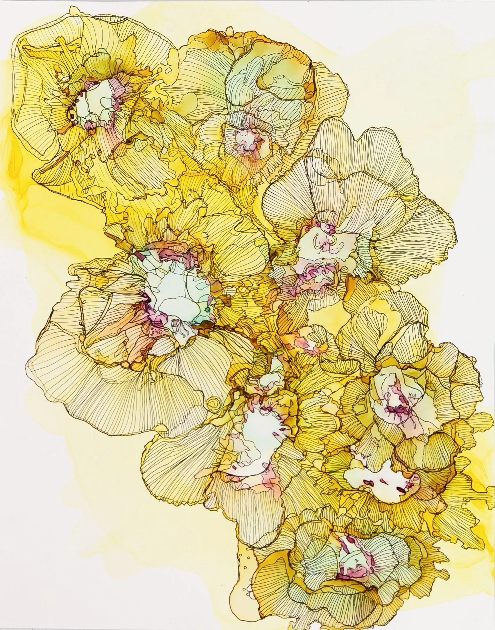 Gold Hour Garden.jpg