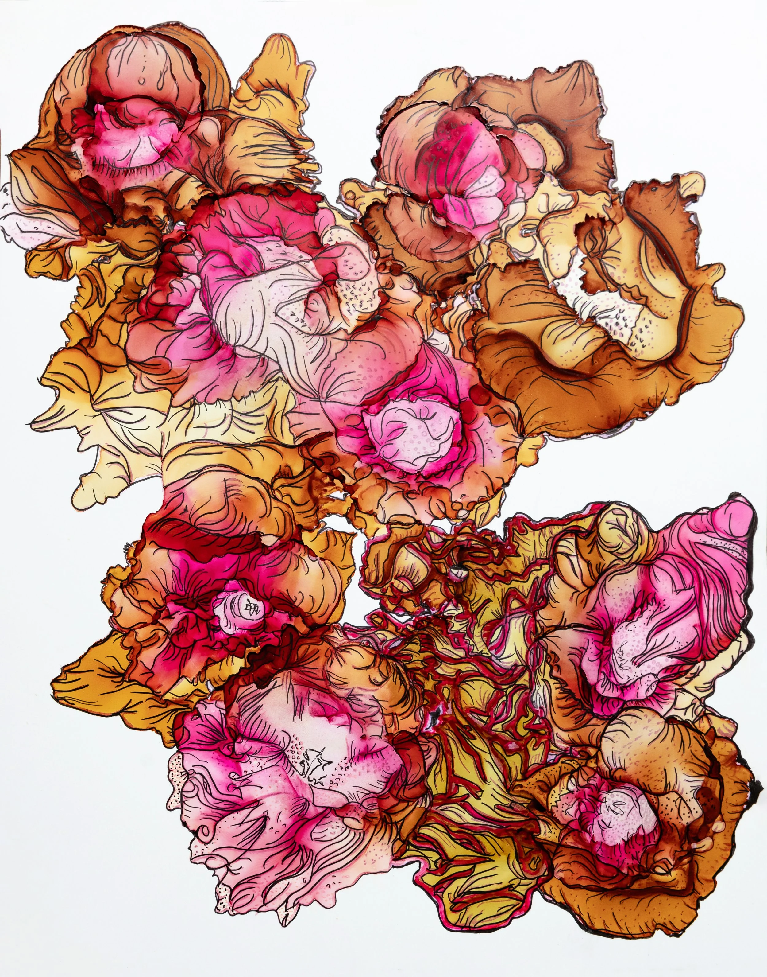 Wild Orchid Riot.jpg