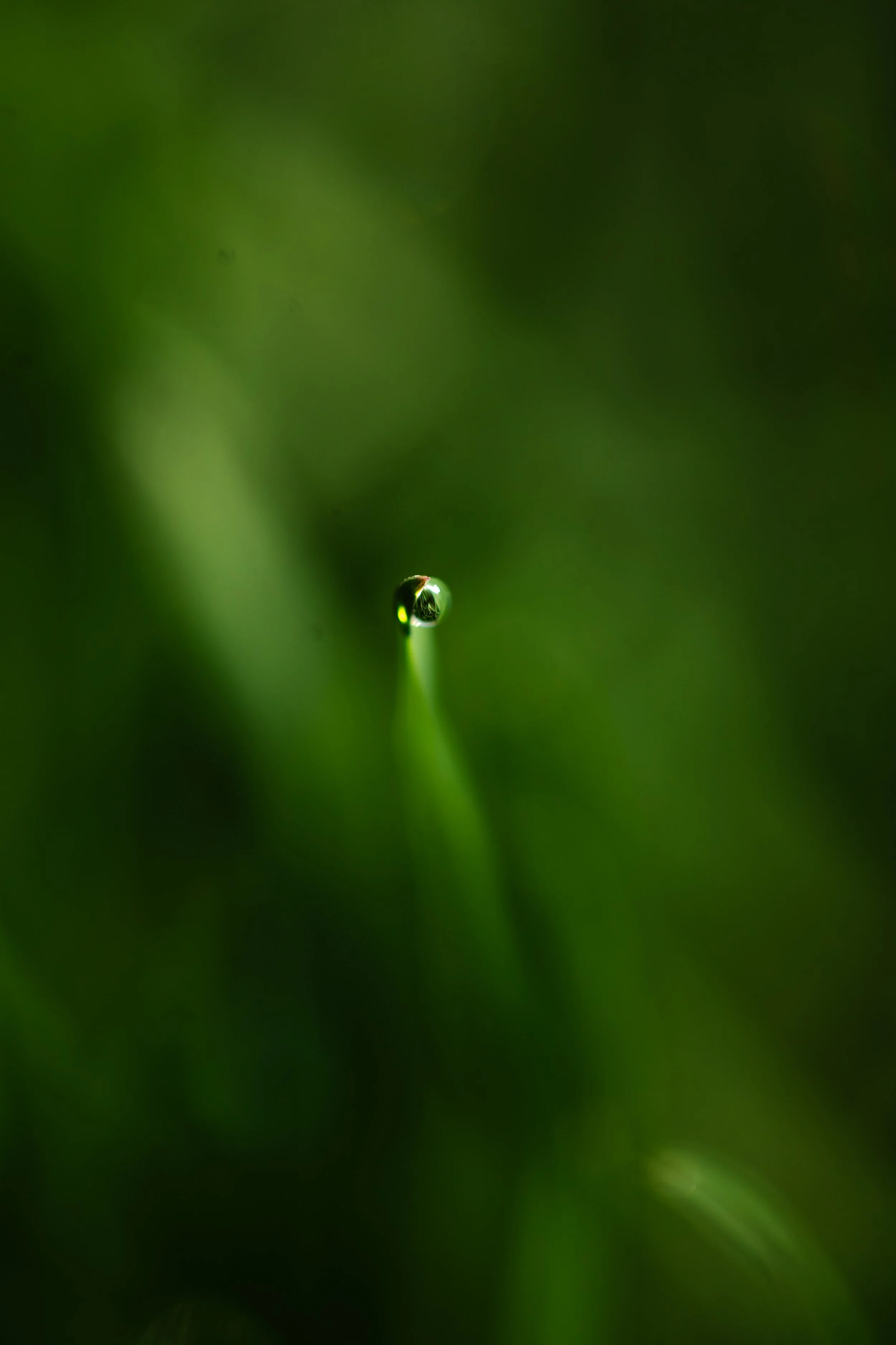 One Drop