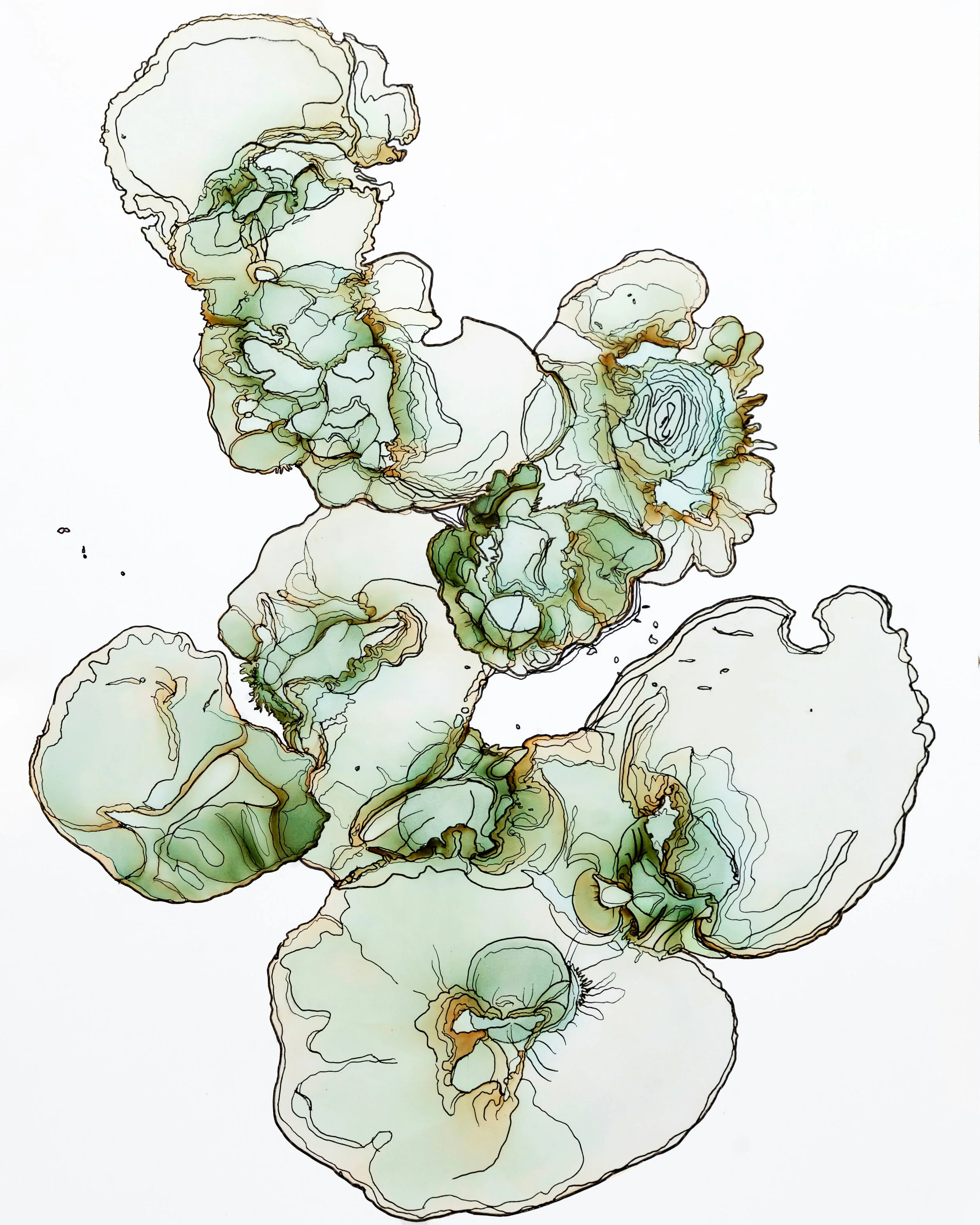 Tidal Garden.jpg