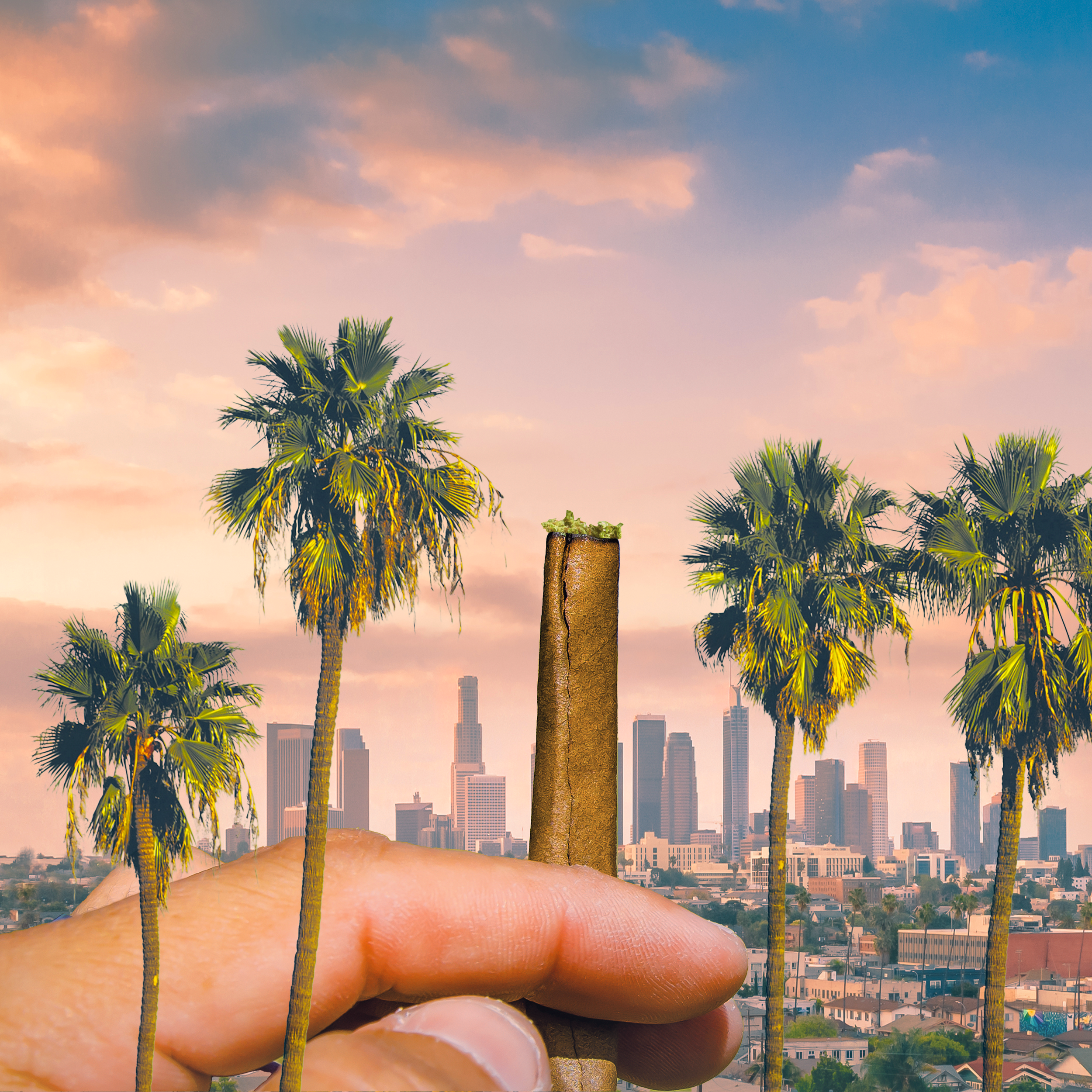 Blunt Palm Trees.png