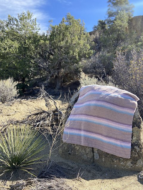 with_yucca_on_rock_medium2.jpg