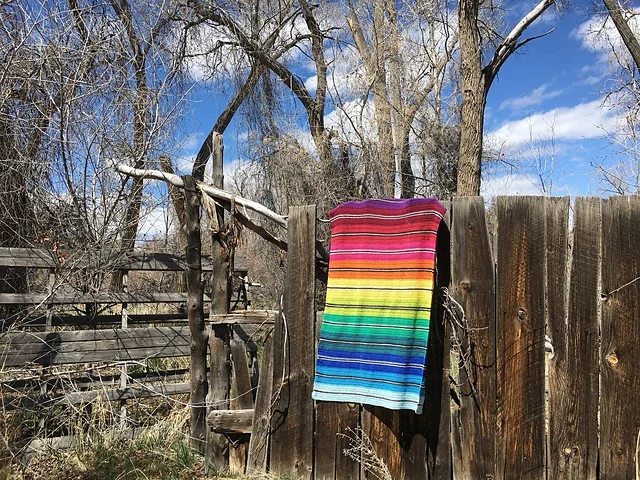 Rio_Grande_on_fence_medium2.webp