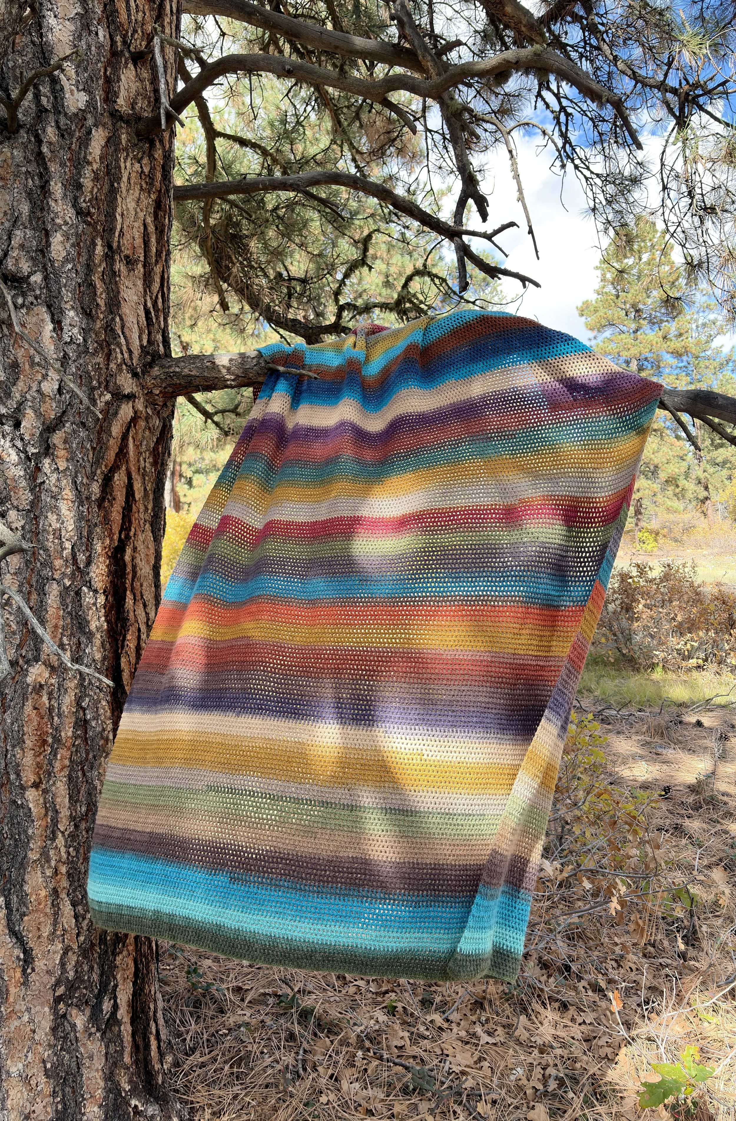earthy blanket on tree.jpeg