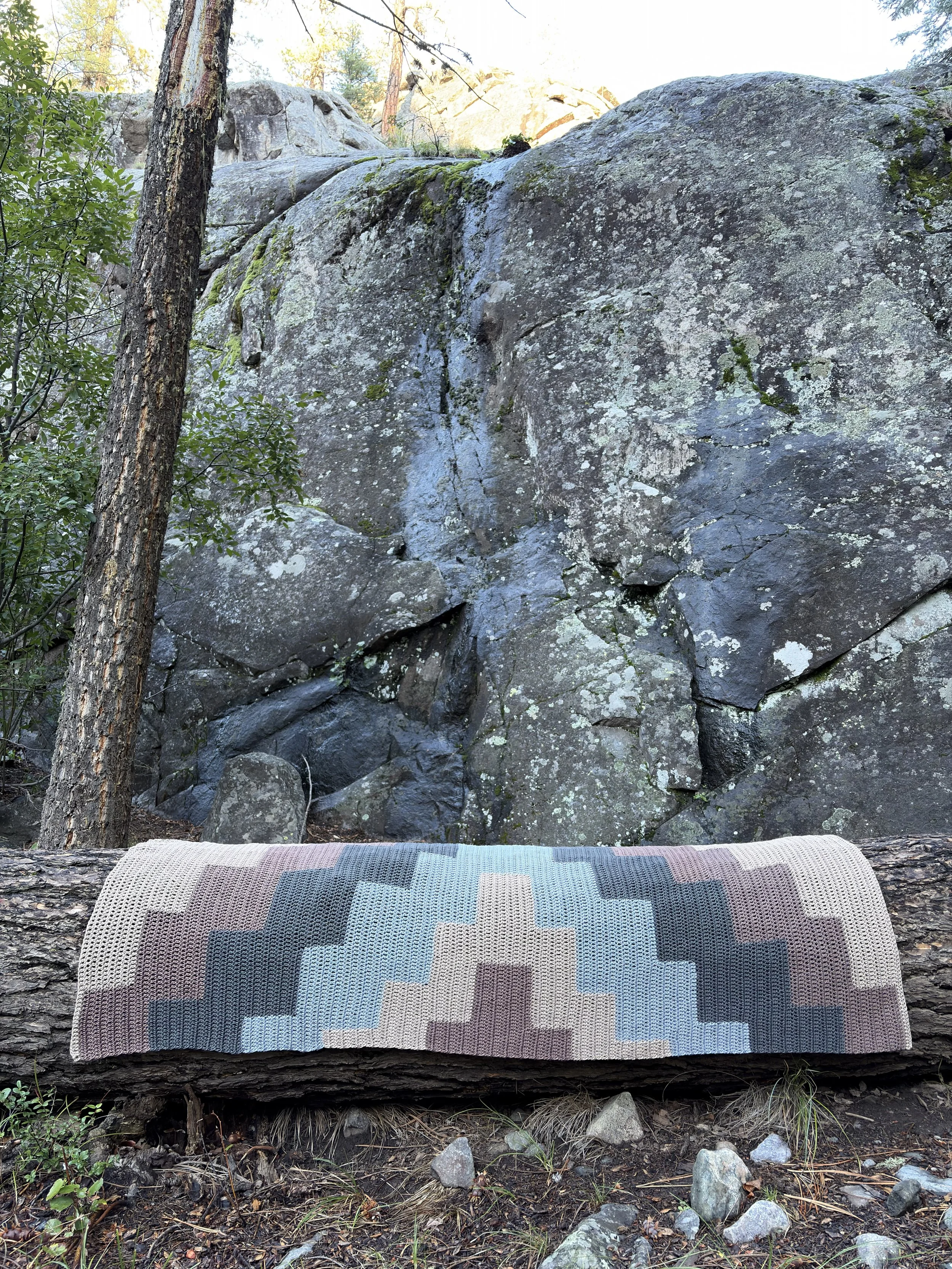 tan gray on log.jpeg