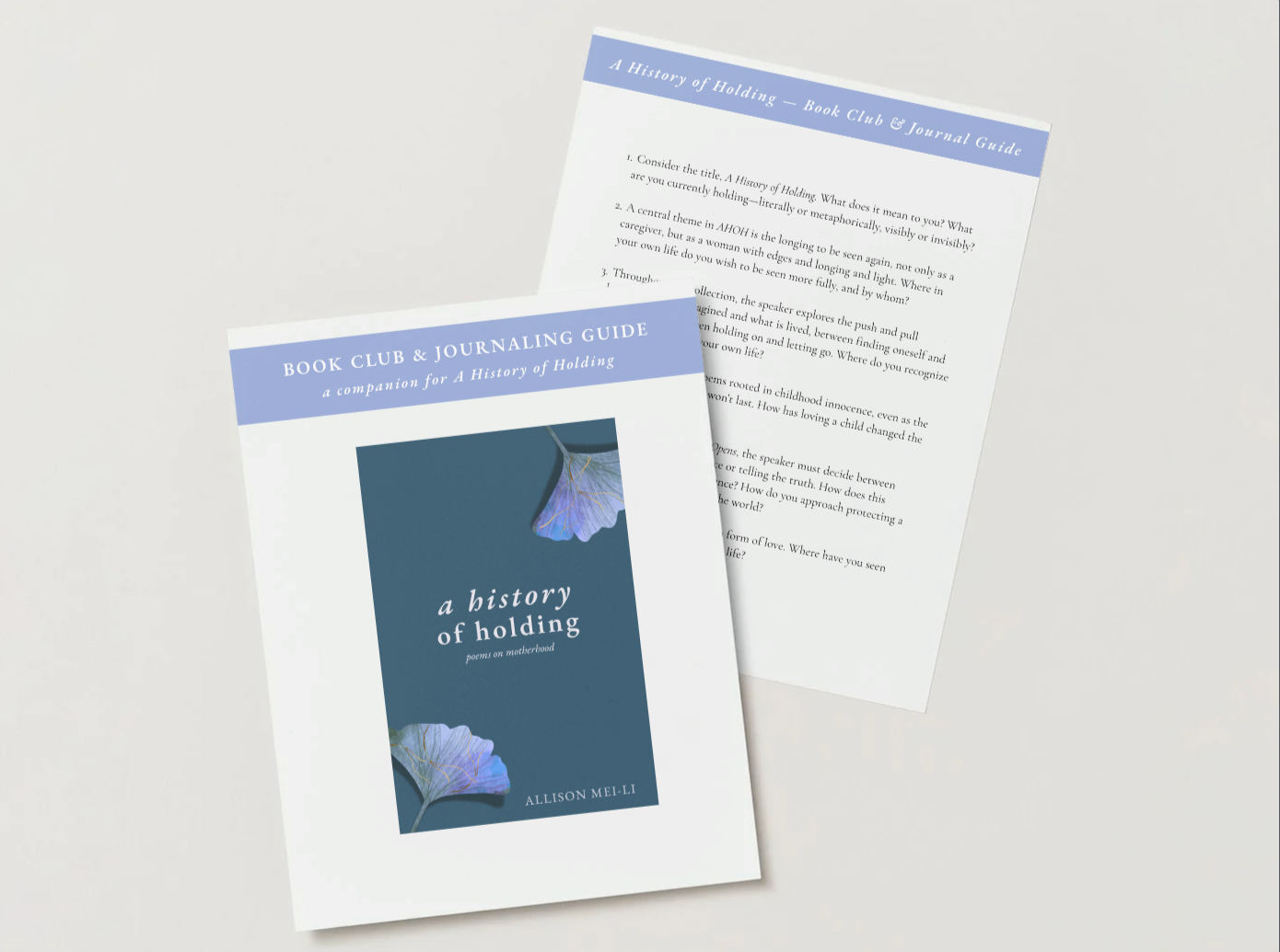 Book Club Guide for A History of Holding