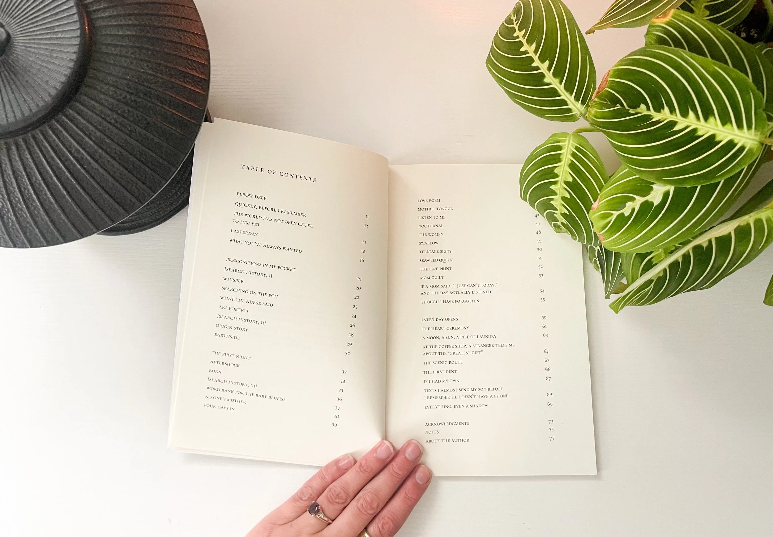 An open book on a white surface, showing a table of contents, with a hand resting on the bottom edge. There are green leaves from a plant on the right and two black, textured trays on the left.