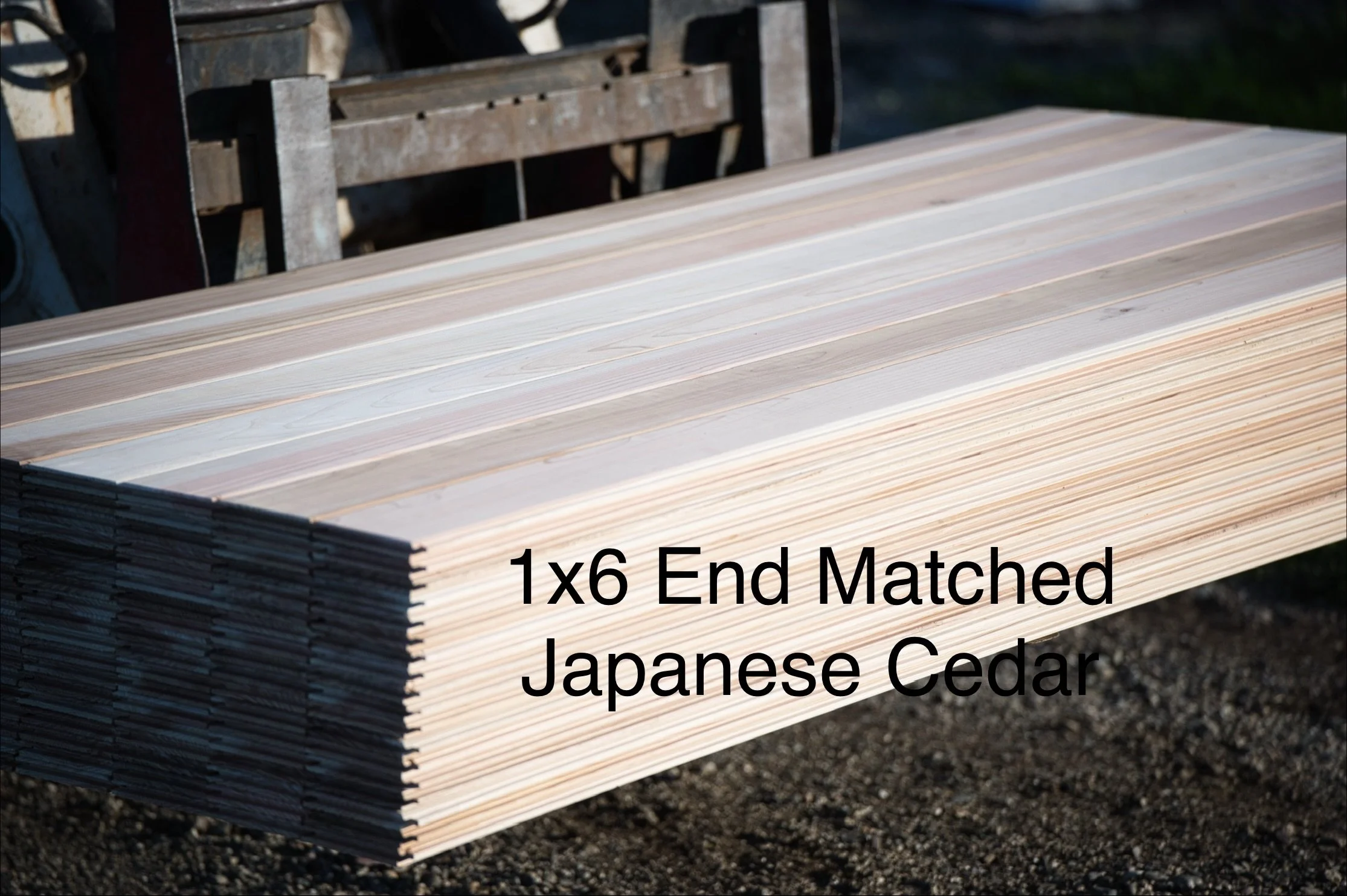1x6 End Matched Clear Japanese Cedar