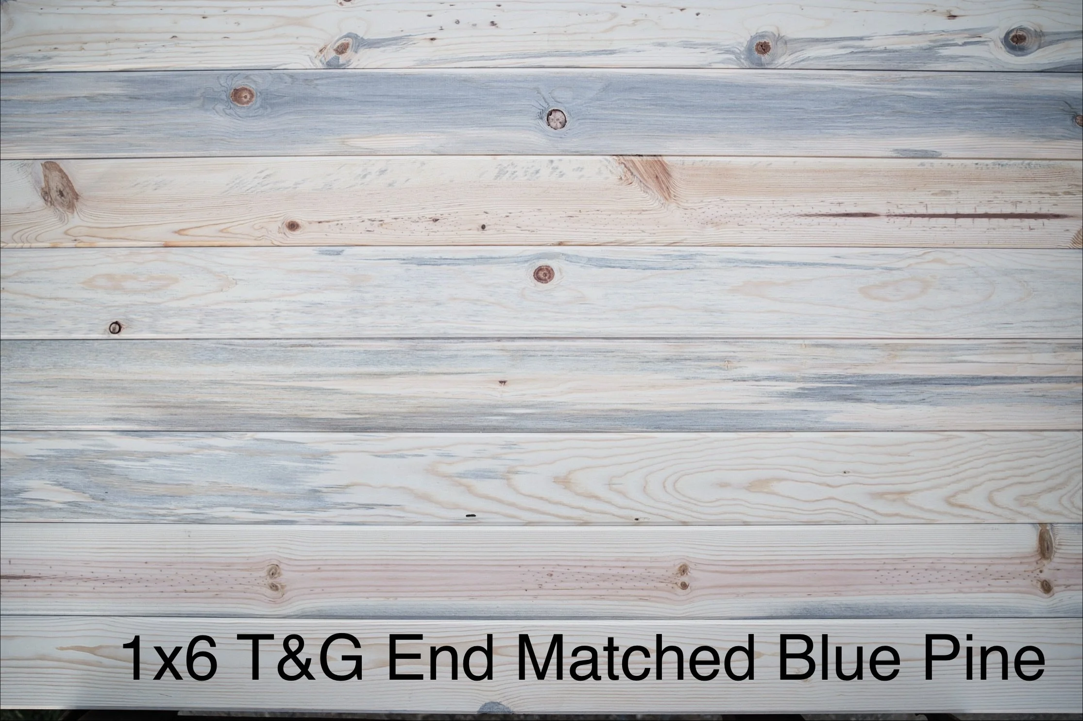 1x6 Endmatched Blue Pine