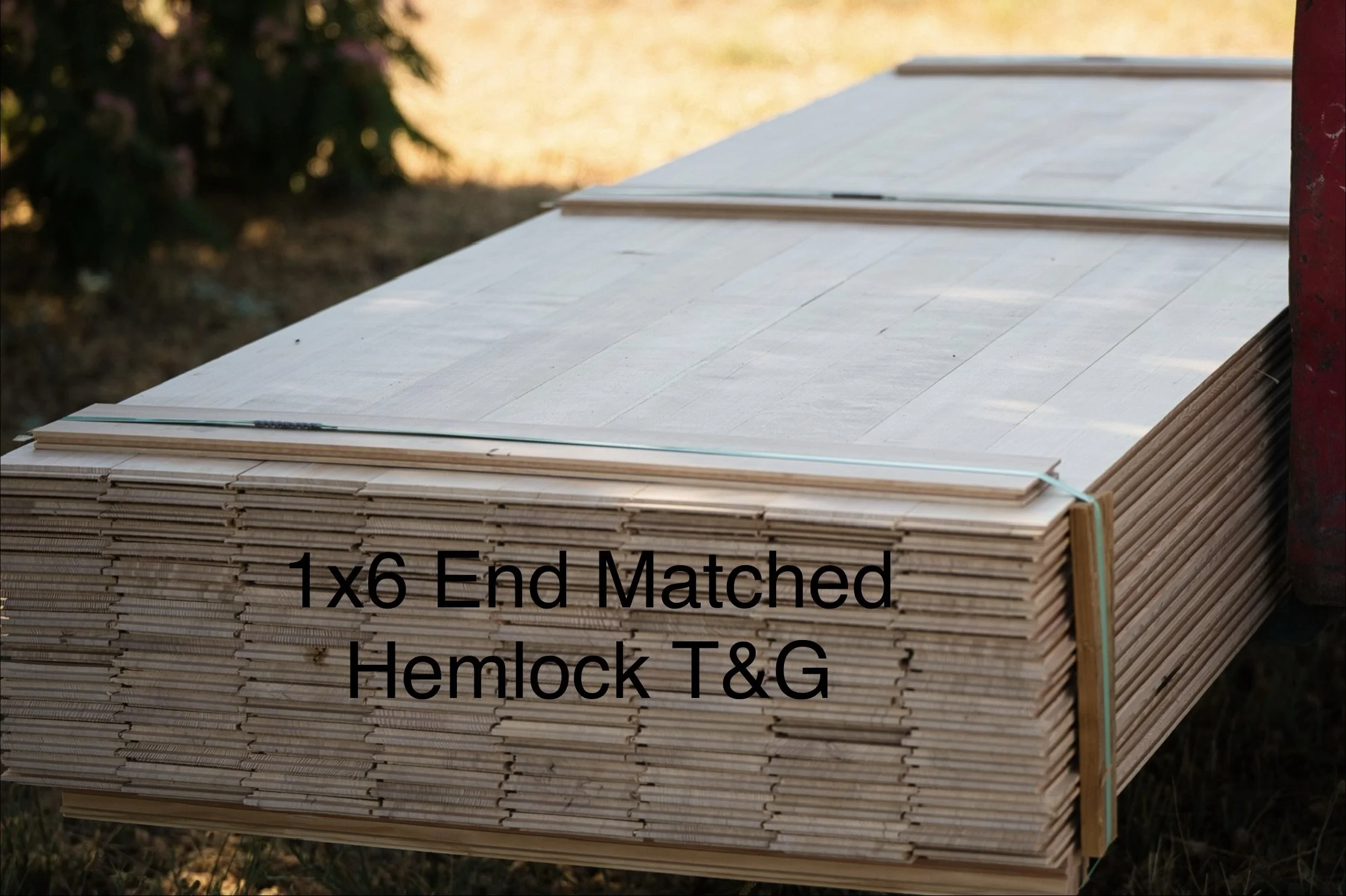 1x6 End Matched Hemlock