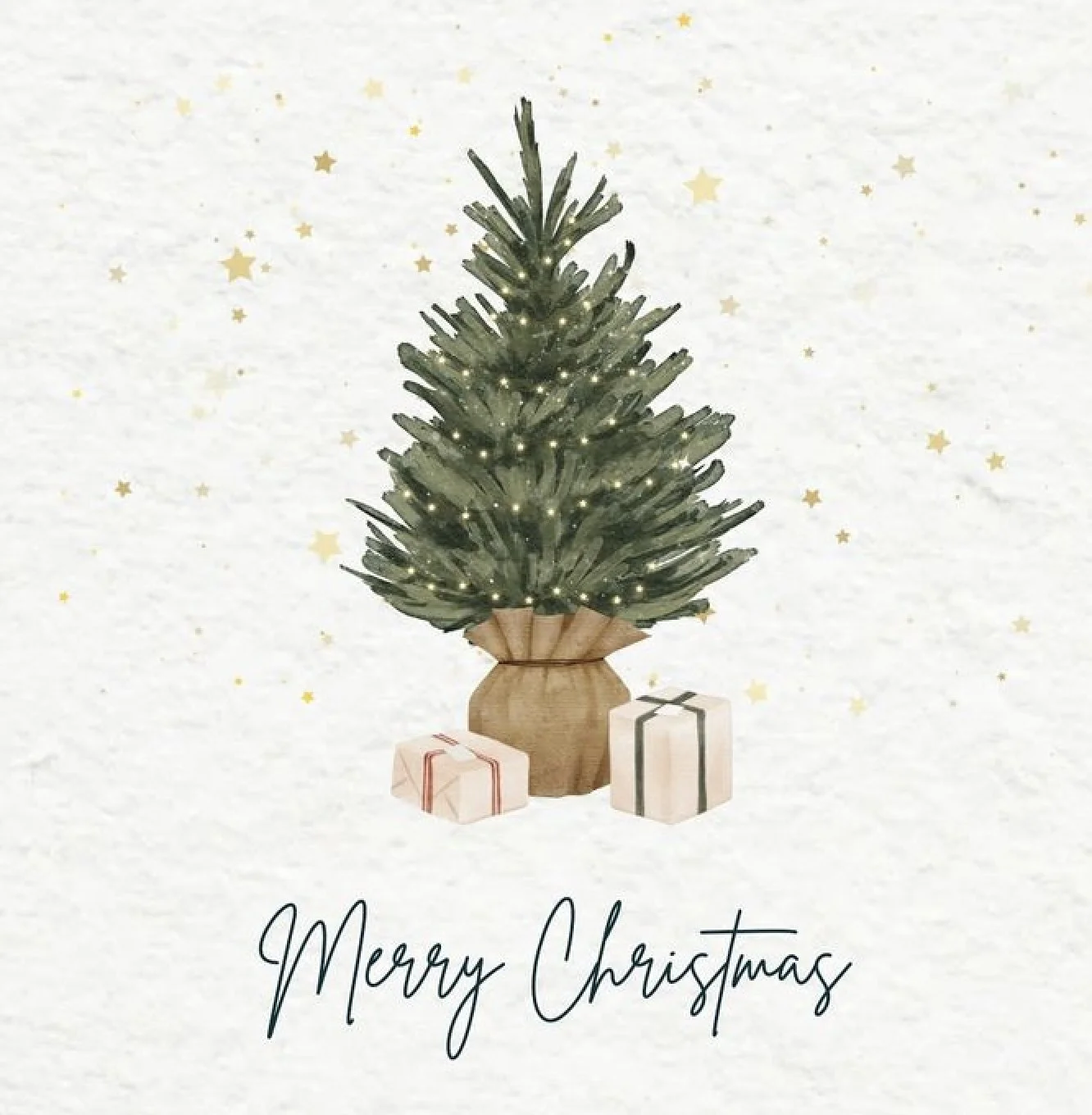 Closing Out the Year with Gratitude &amp; a Little Christmas Cheer!
