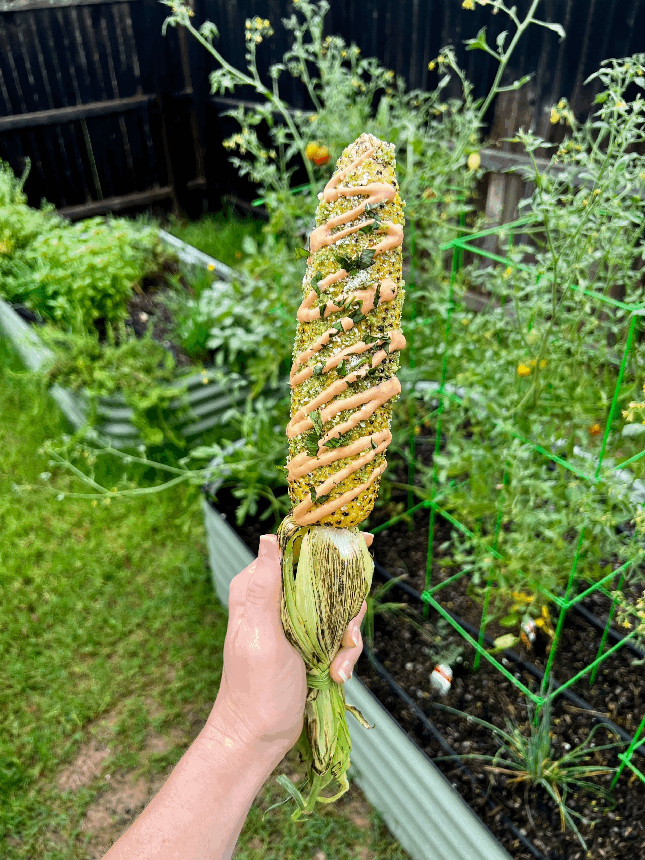 Italian Street Corn with Pesto &amp; Calabrian Chili Crema