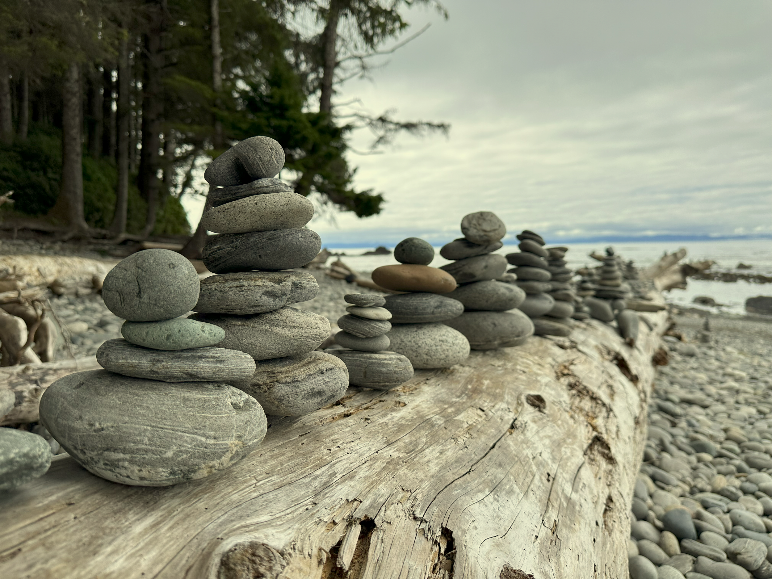 Several small stacks of round rocks on a log at the beach