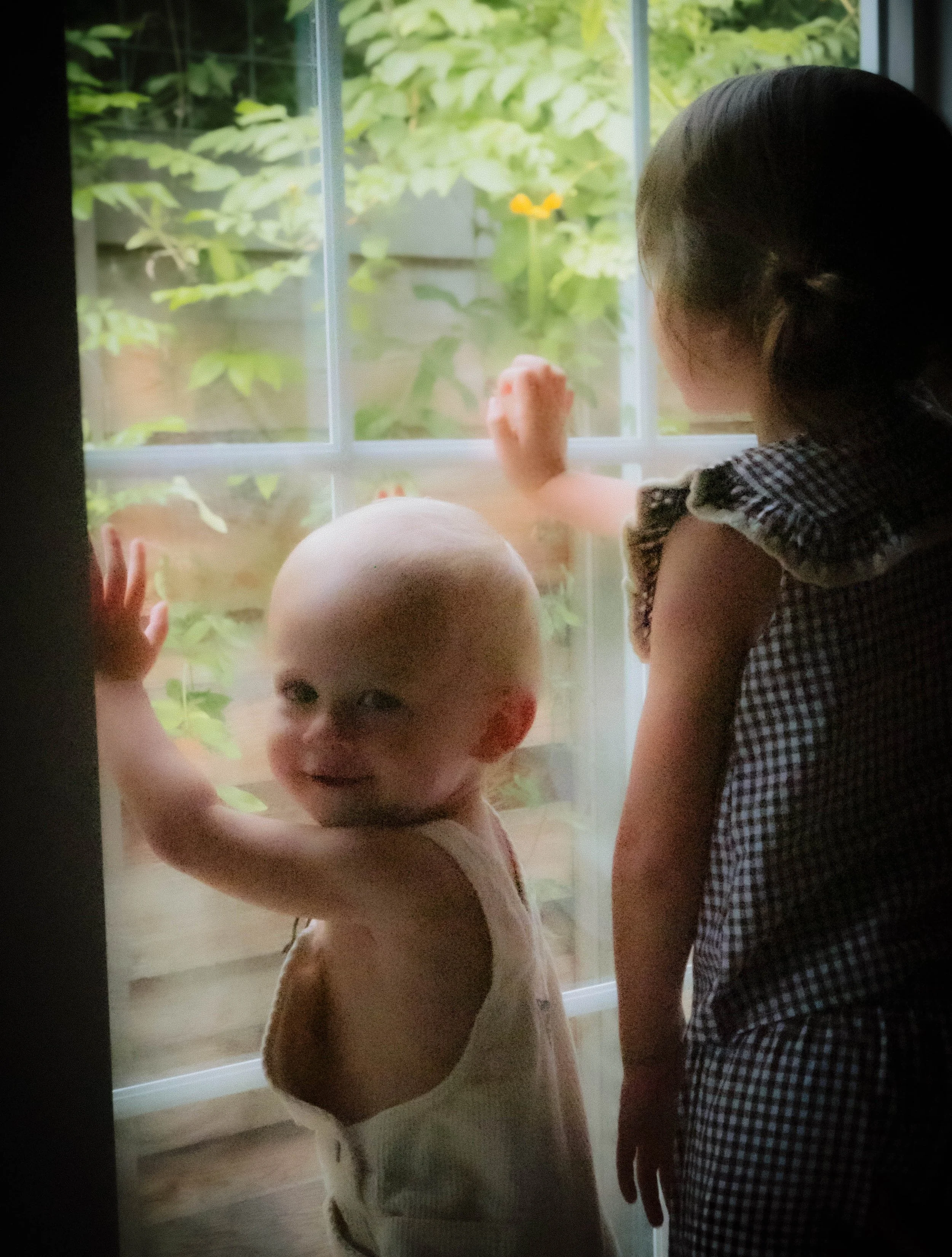 DSCF2713.jpg