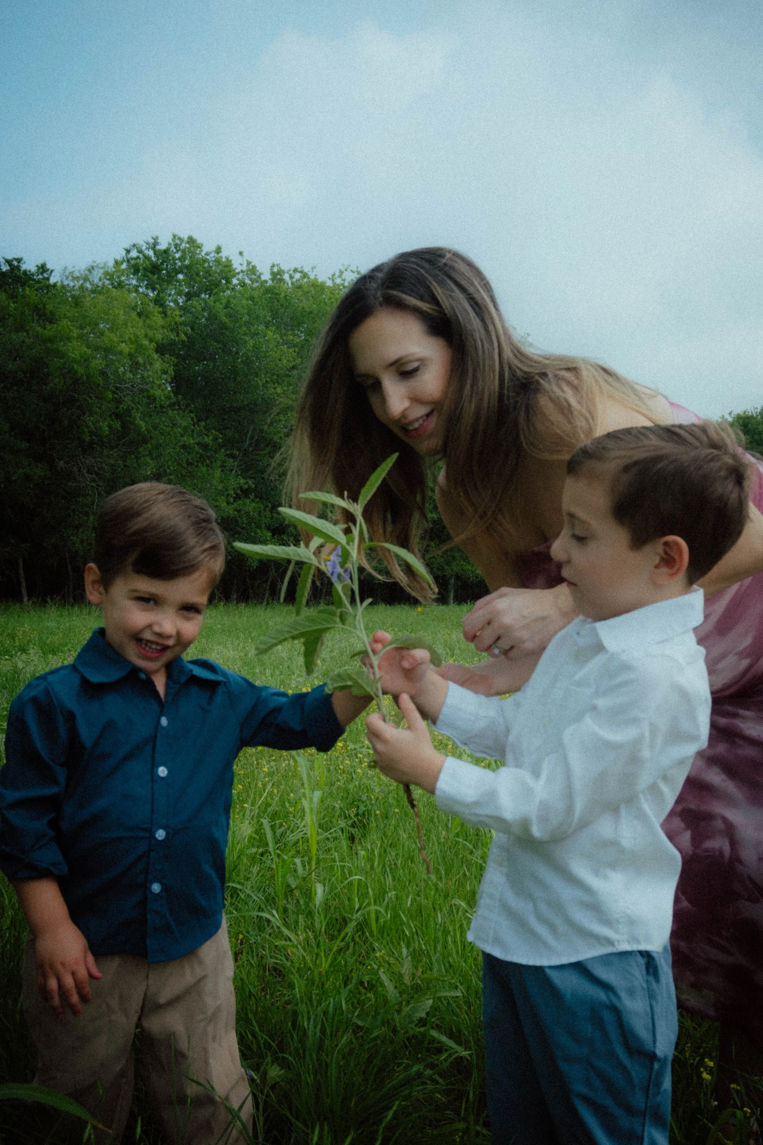 A woman and three children planting a small tree in a grassy outdoor area with trees in the background.