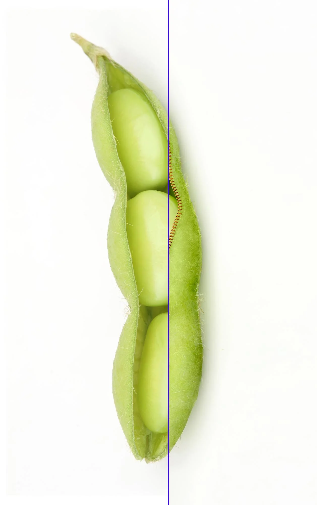 Edamame with Zipper Publicis Photoshop Before and After Retouching Composite