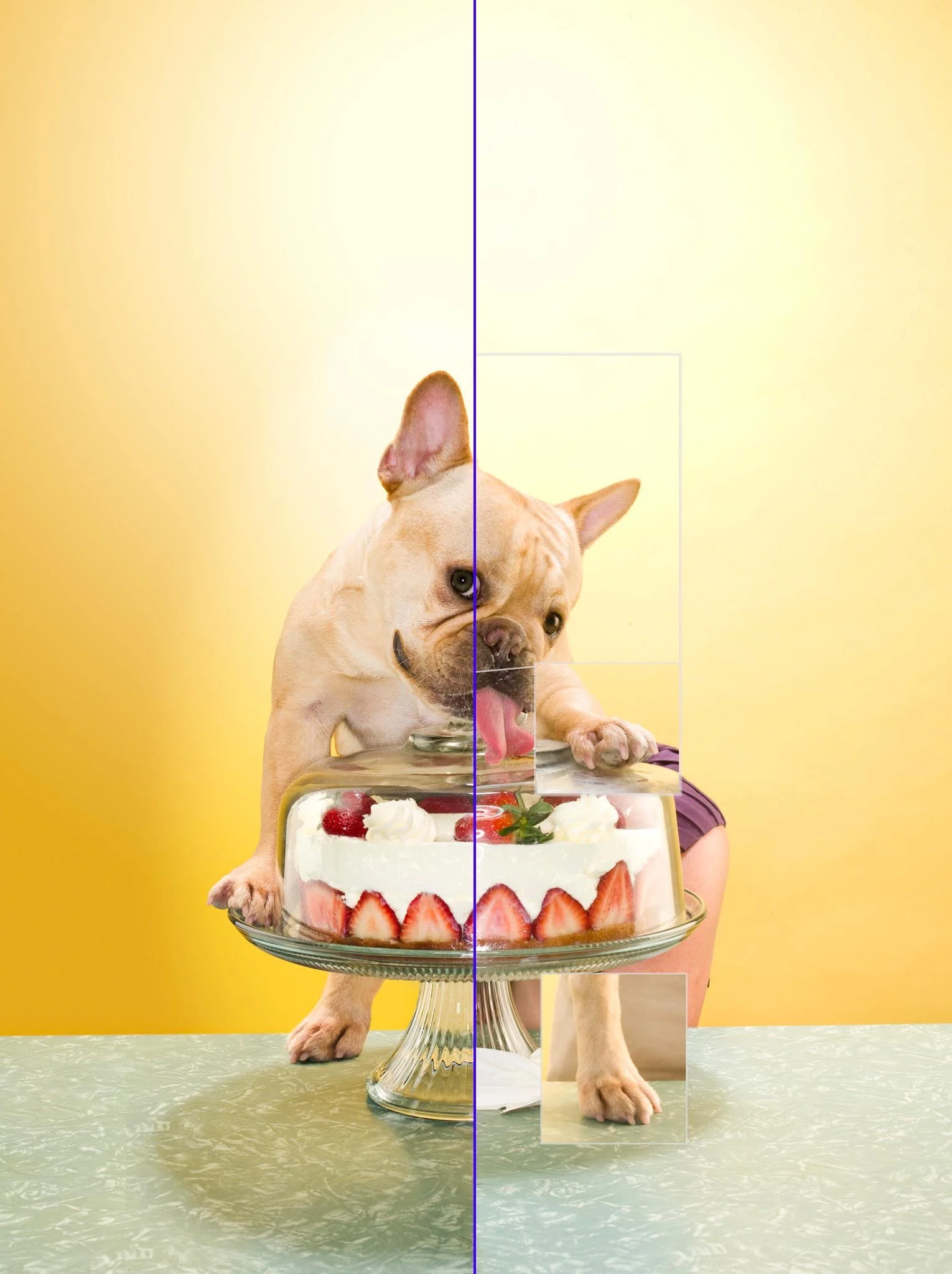 French Bulldog Licking Strawberry Cake Photoshop Before and After Retouching Composite