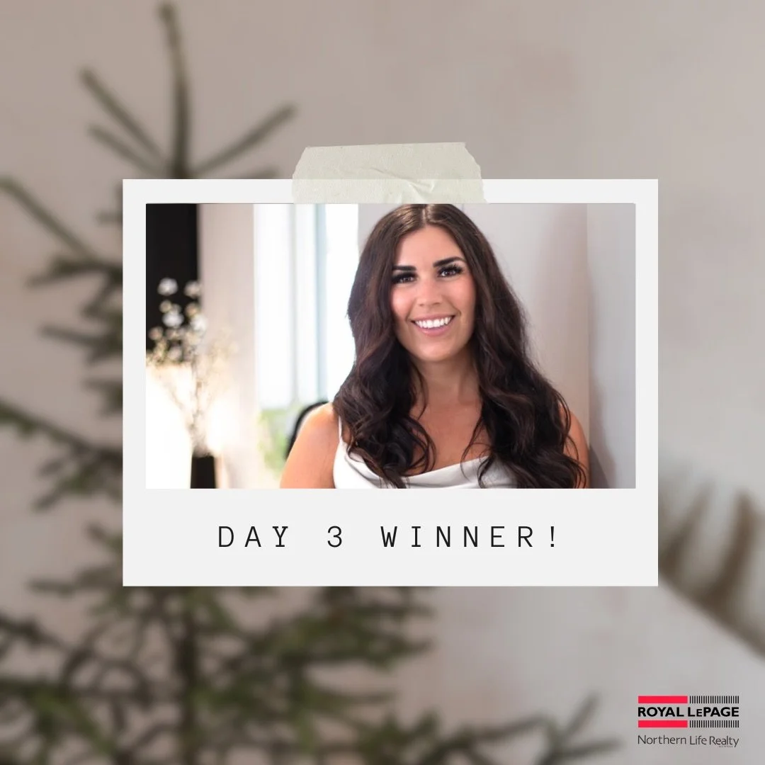 Day THREE Ally Gee! 🎄