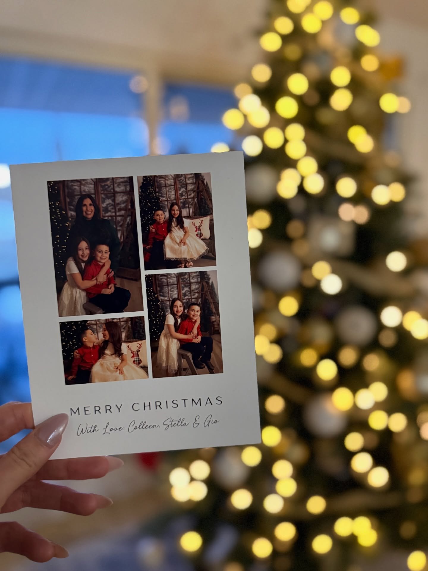 Busy little elves working on getting our Christmas cards out in time 🎄