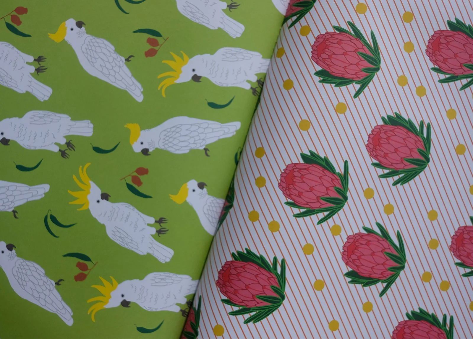 AO-aus-wrap-lr_0000_Layer 10.jpg