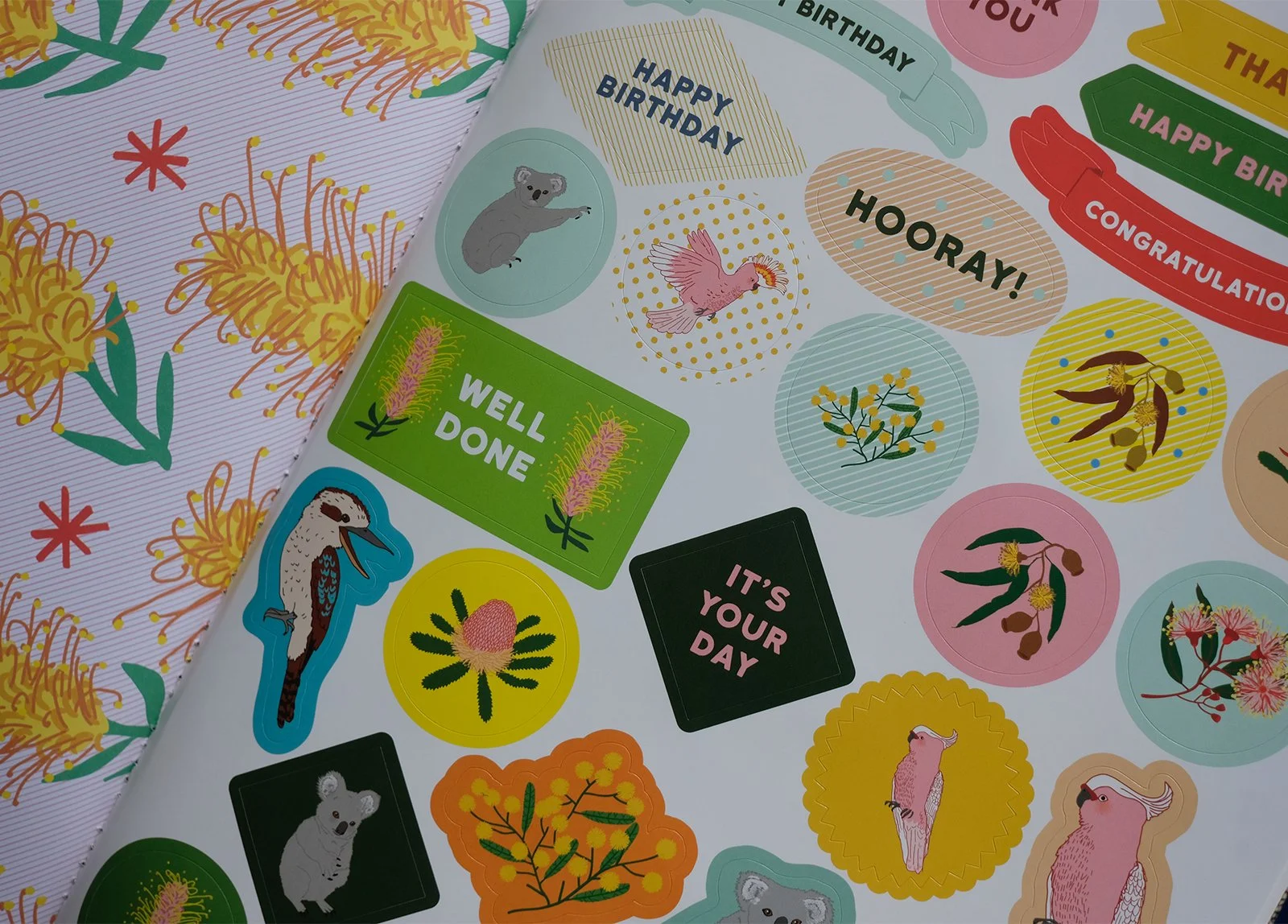 AO-aus-wrap-lr_0008_Layer 2.jpg