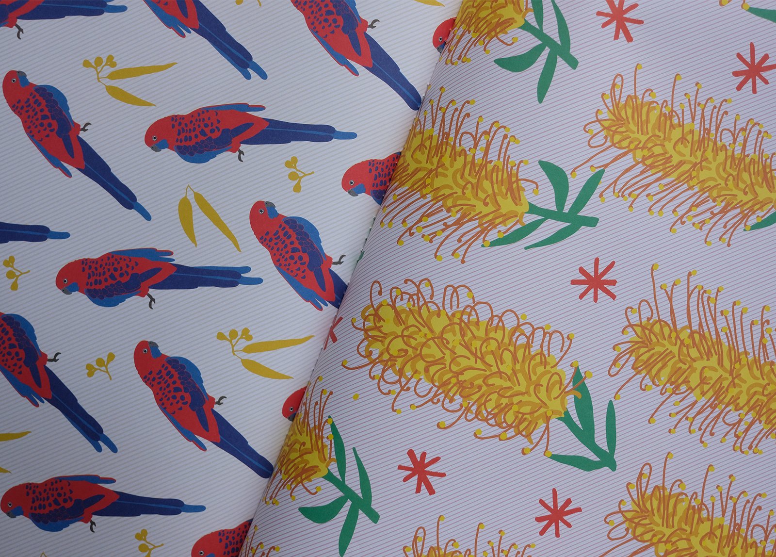 AO-aus-wrap-lr_0009_Layer 1.jpg