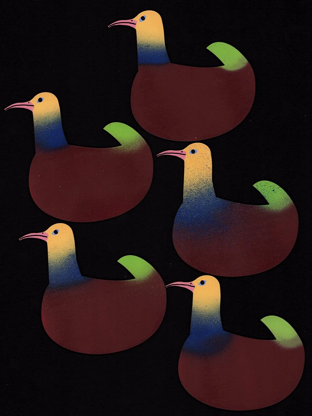 alice-oehr-birds-2025_0001_Layer 7.jpg