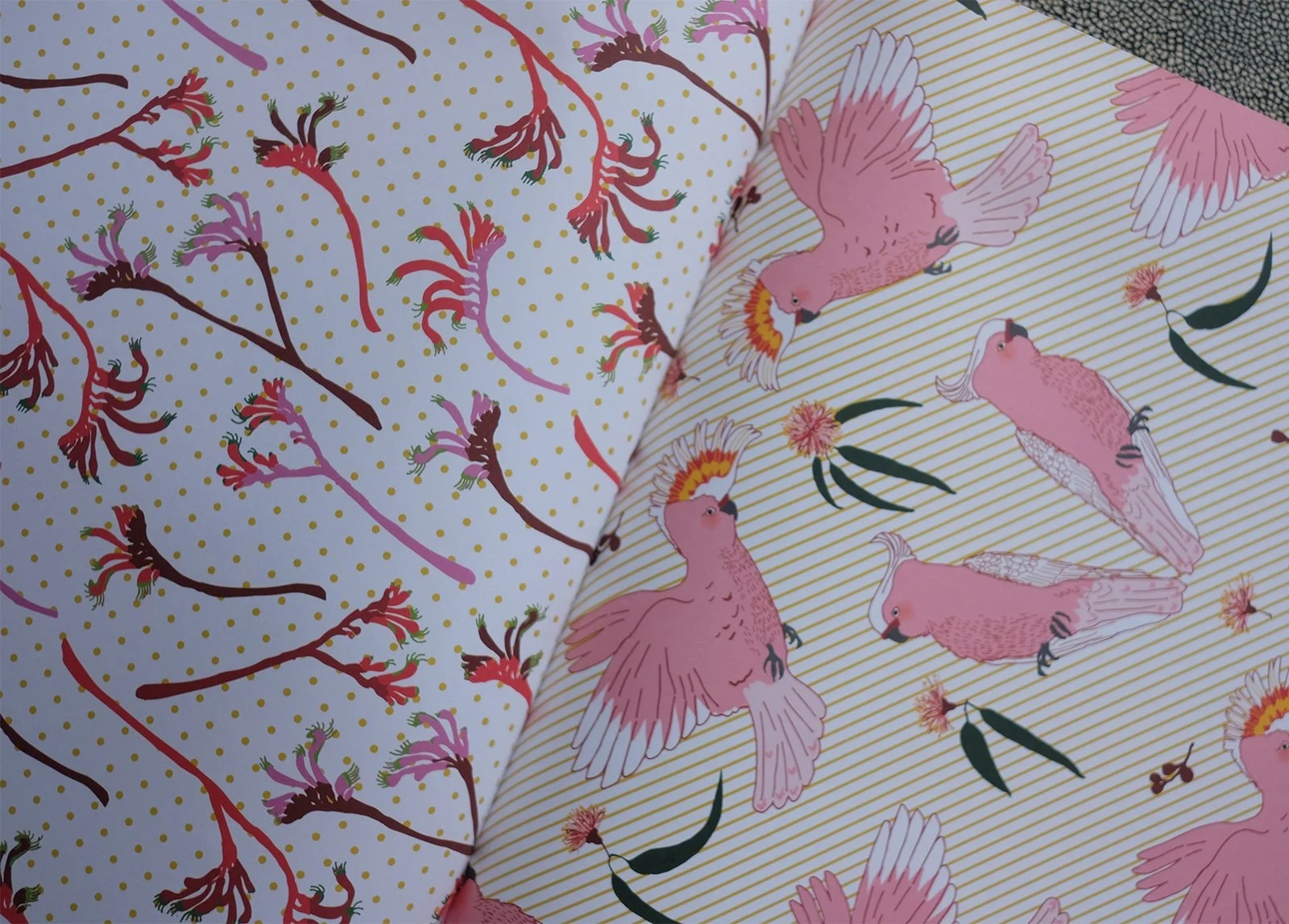 AO-aus-wrap-lr_0003_Layer 7.jpg