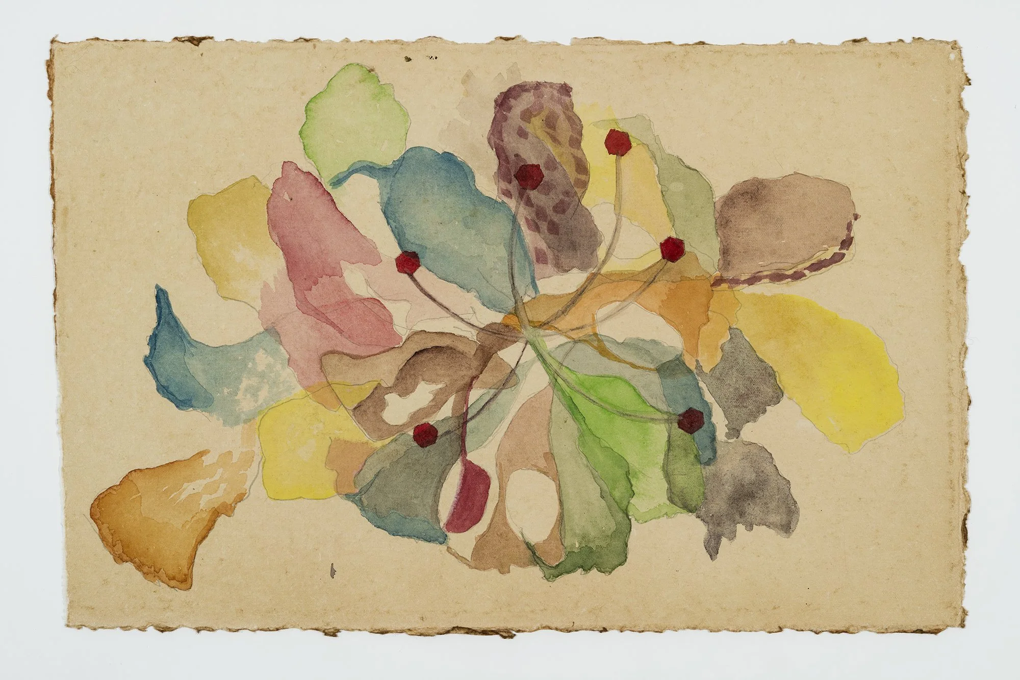 Flower_44x28 cm, aquarelle sur papier recyclé,2025