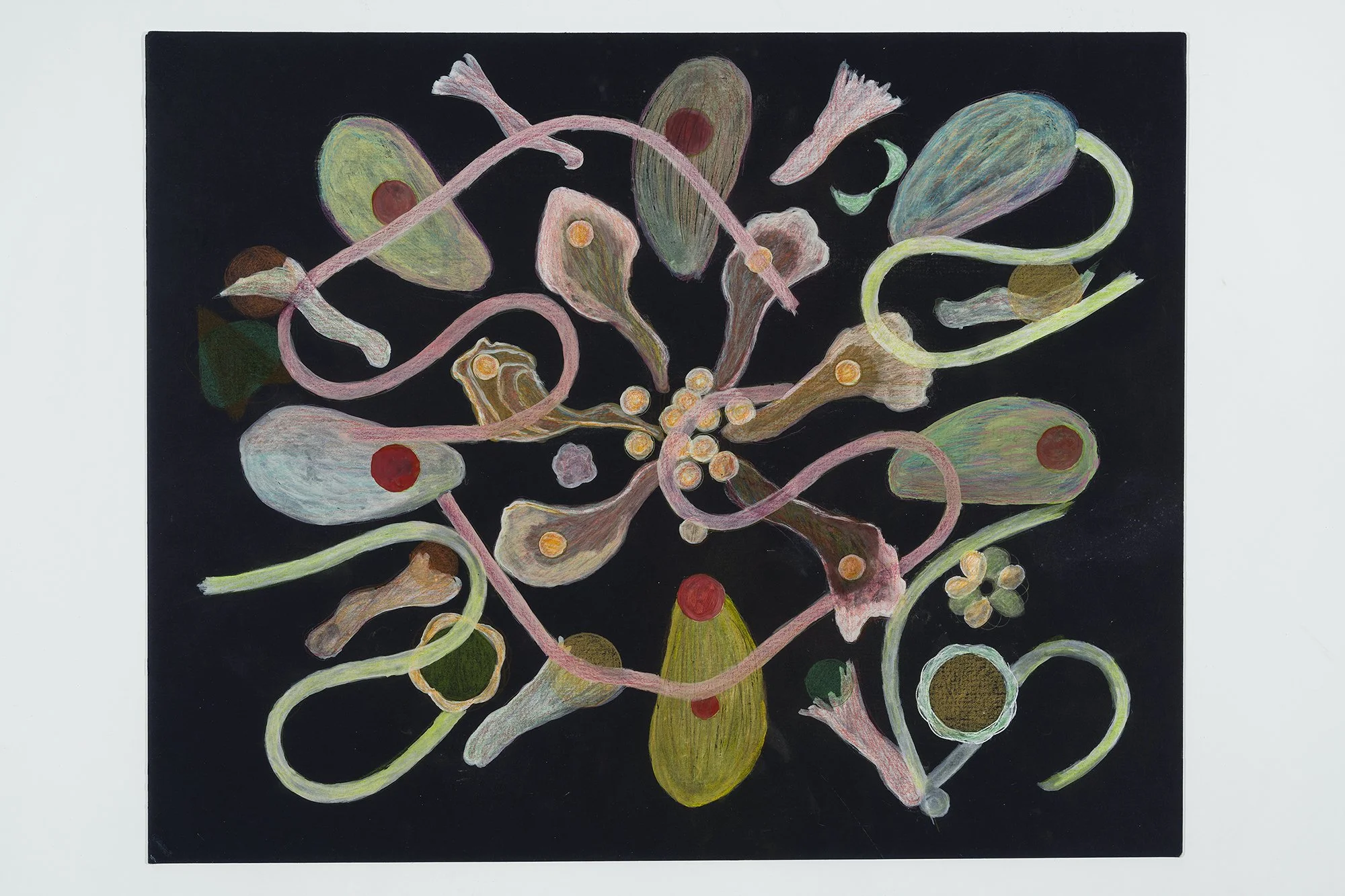 Hilma's flower1_40x52 cm, gouache et crayon sur carton, 2025
