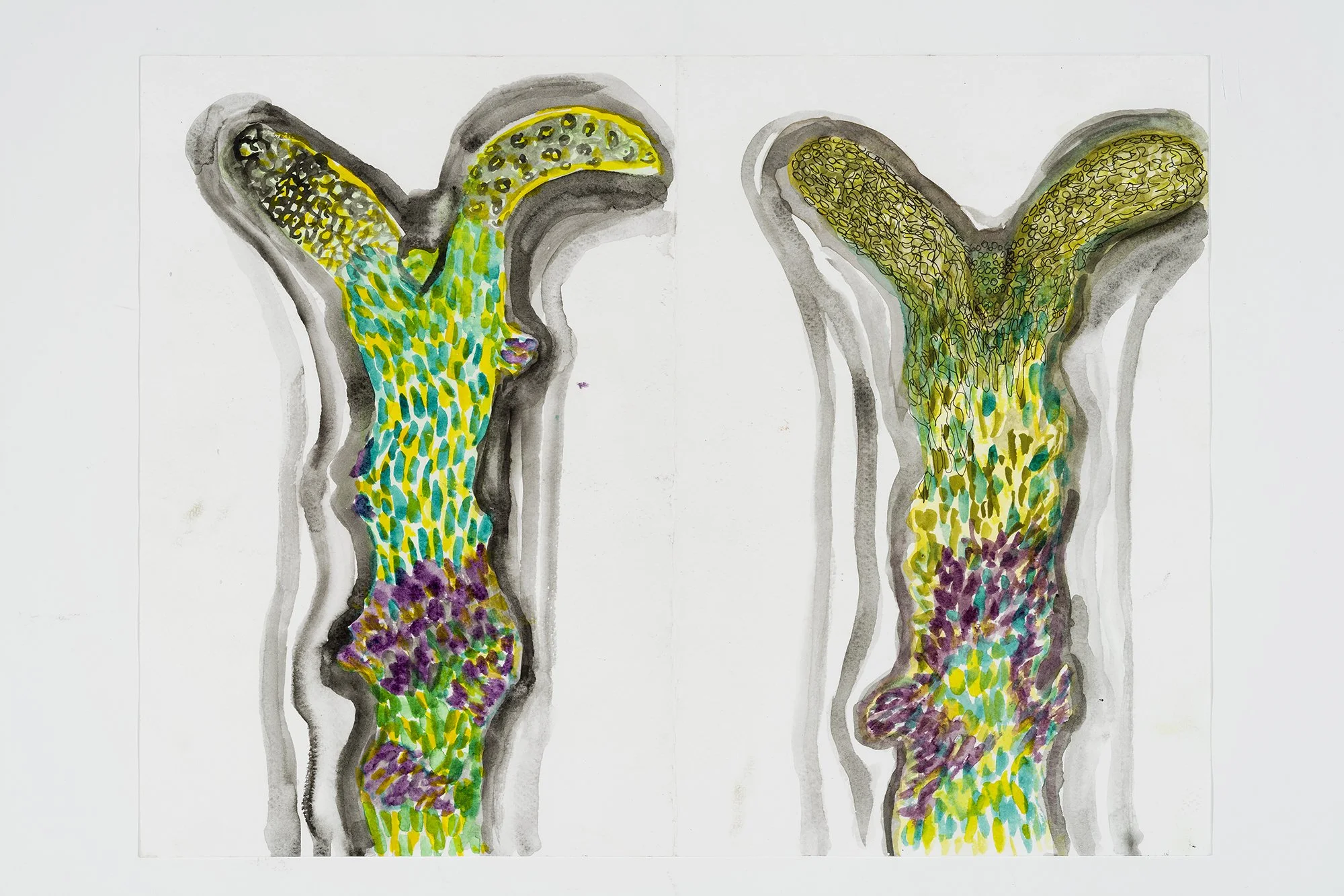 Chlorophylle_40x30 cm, aquarelle, 2024