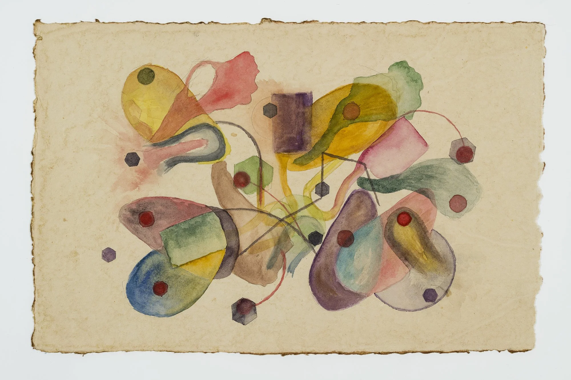 Fleur_44x28 cm, aquarelle sur papier recyclé, 2025