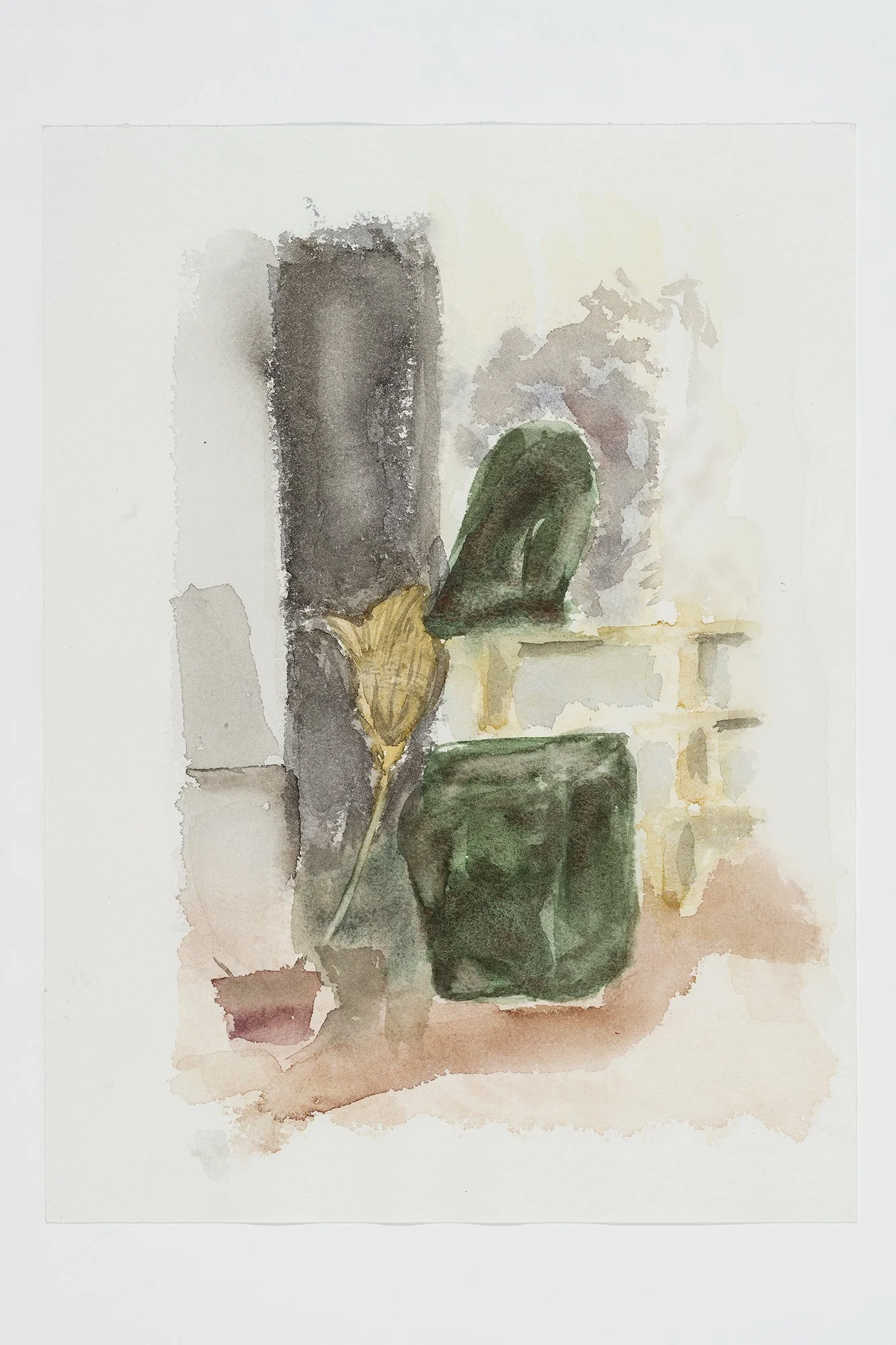 The broom_31x23 cm, aquarelle, 2025