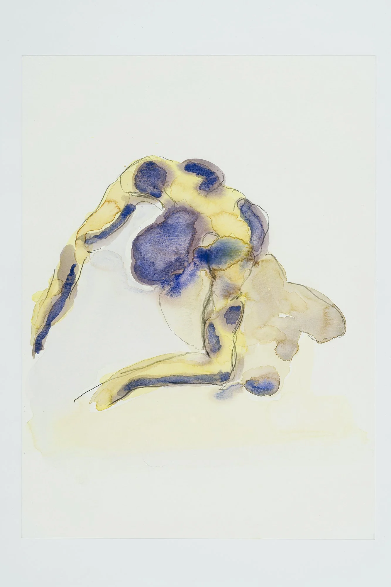 Narcisse_28x38, aquarelle, 2020